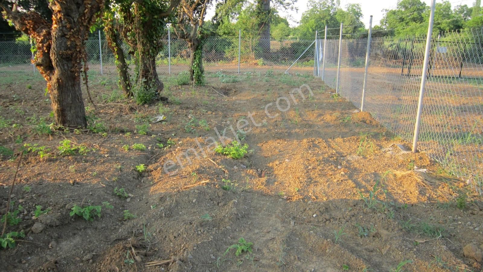 Kayapa Da Kadastro Yoluna Cephe Tel Örgülü 560 M2 Hobi Bahçesi - Görsel 19