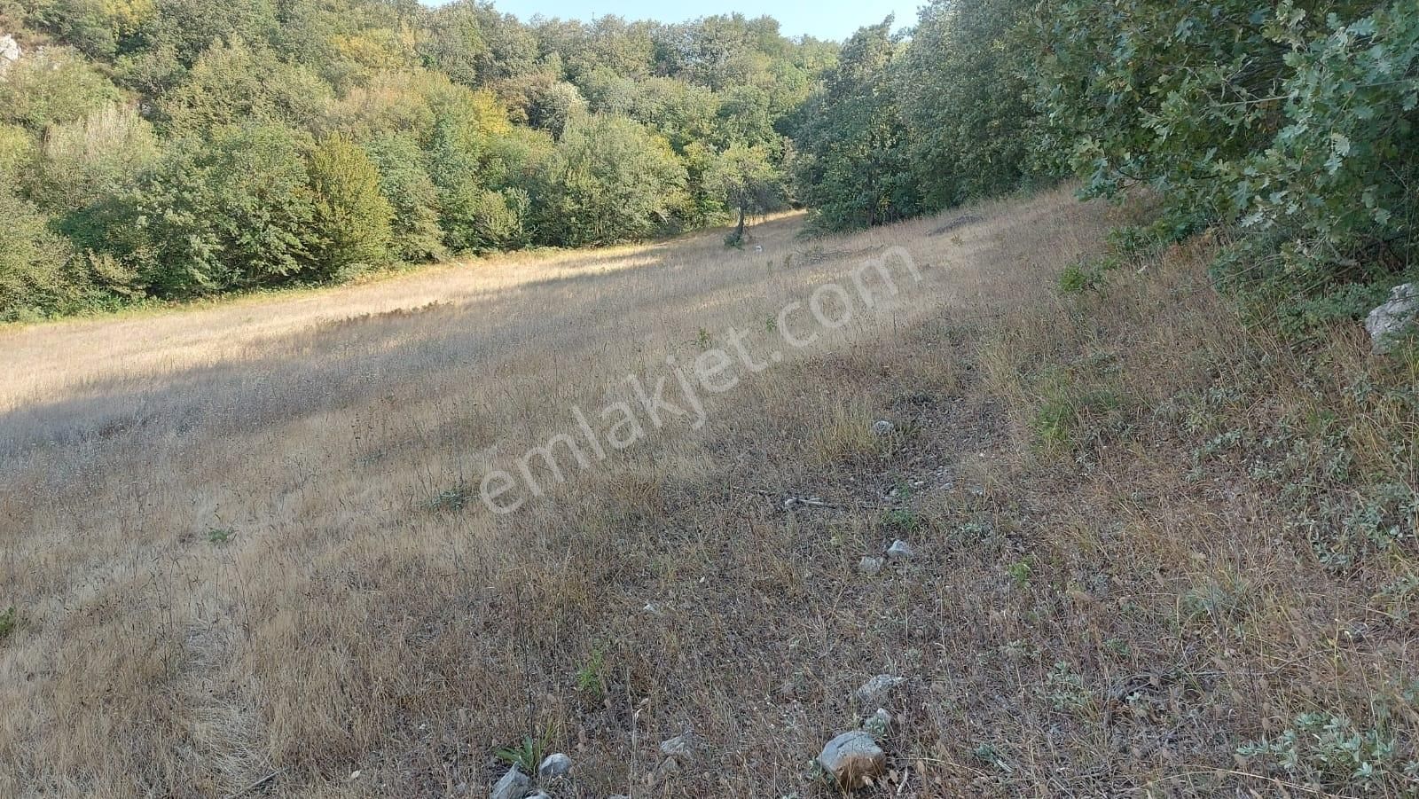 Bursa Nilüfer Güngörende 2102 M2 Manzaralı Yatırmlık Arazi - Görsel 8