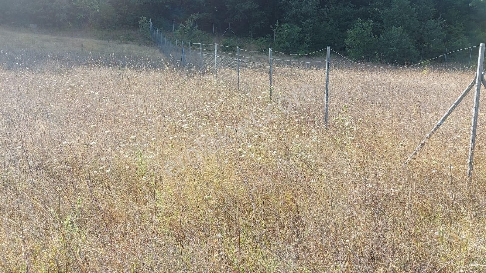 Bursa Nilüfer Güngörende 2102 M2 Manzaralı Yatırmlık Arazi - Görsel 13