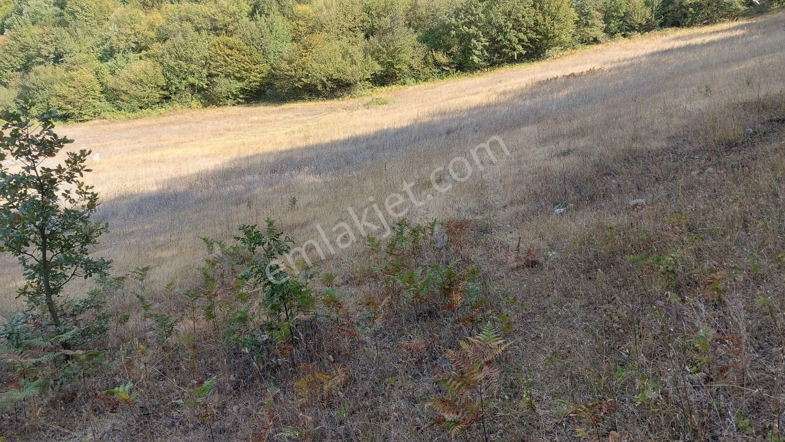 Bursa Nilüfer Güngörende 2102 M2 Manzaralı Yatırmlık Arazi - Görsel 14