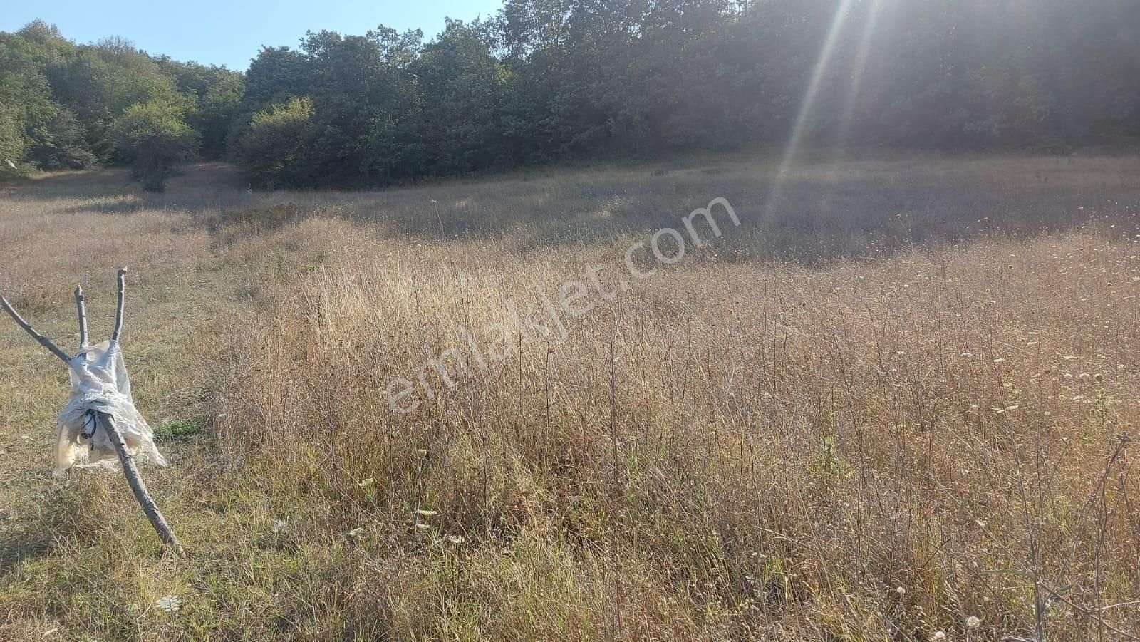 Bursa Nilüfer Güngörende 2102 M2 Manzaralı Yatırmlık Arazi - Görsel 27