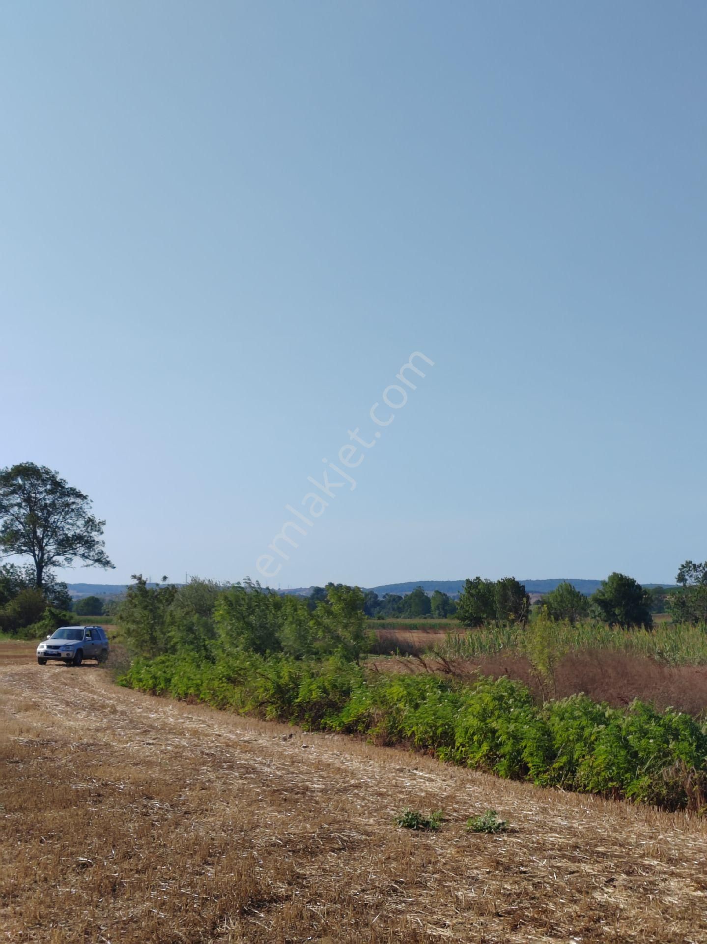 Arazi Uzmanı Recep Davutoğlu'ndan Yatırımlık Tarla - Görsel 11