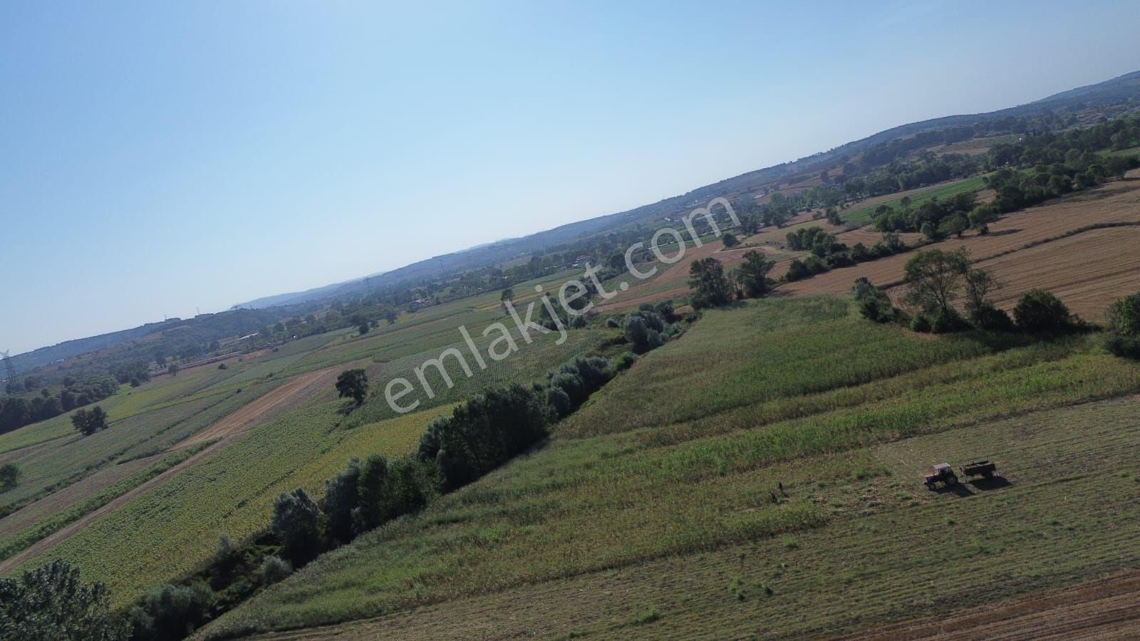 Arazi Uzmanı Recep Davutoğlu'ndan Yatırımlık Tarla - Görsel 2