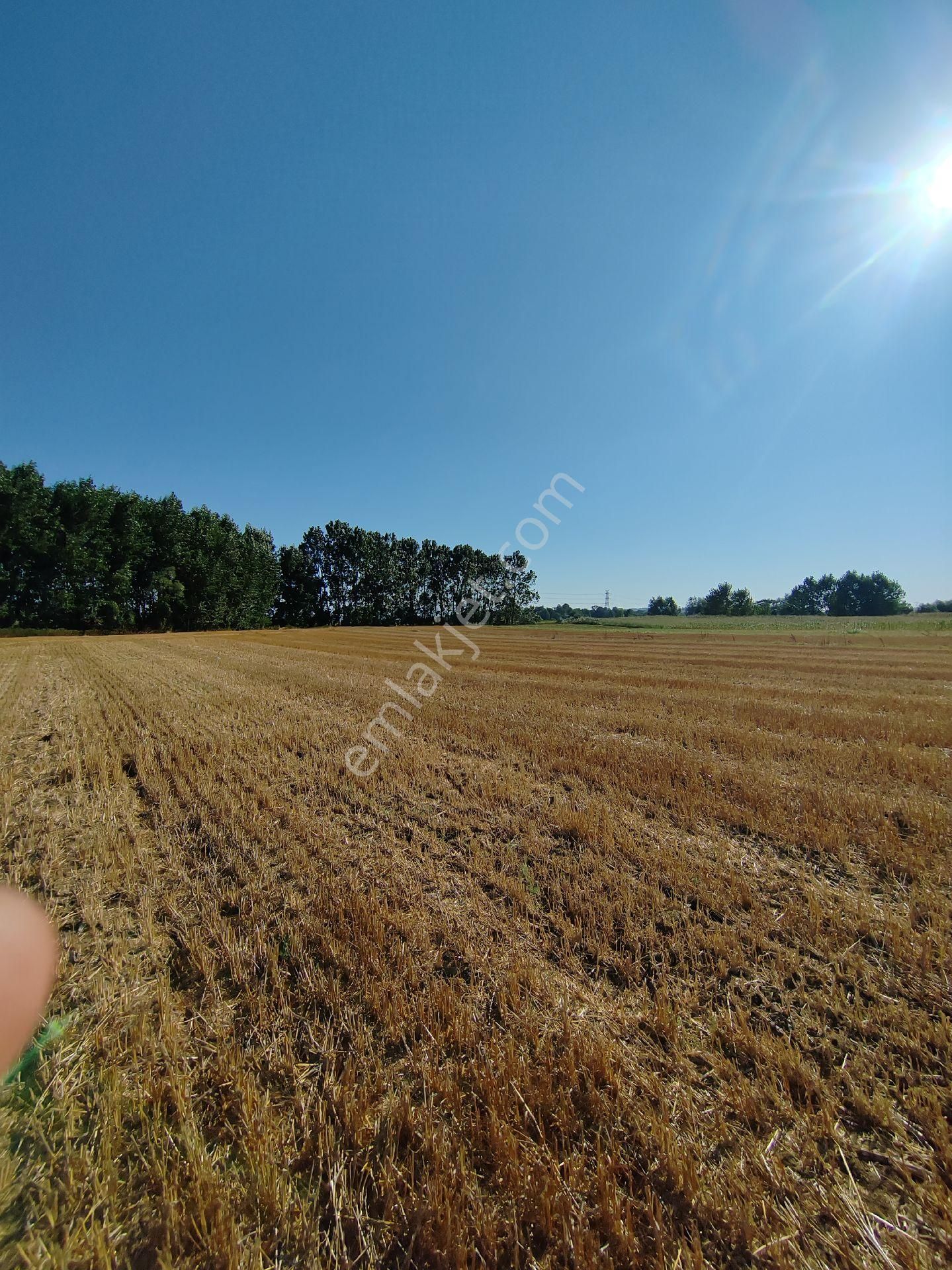Arazi Uzmanı Recep Davutoğlu'ndan Yatırımlık Tarla - Görsel 6
