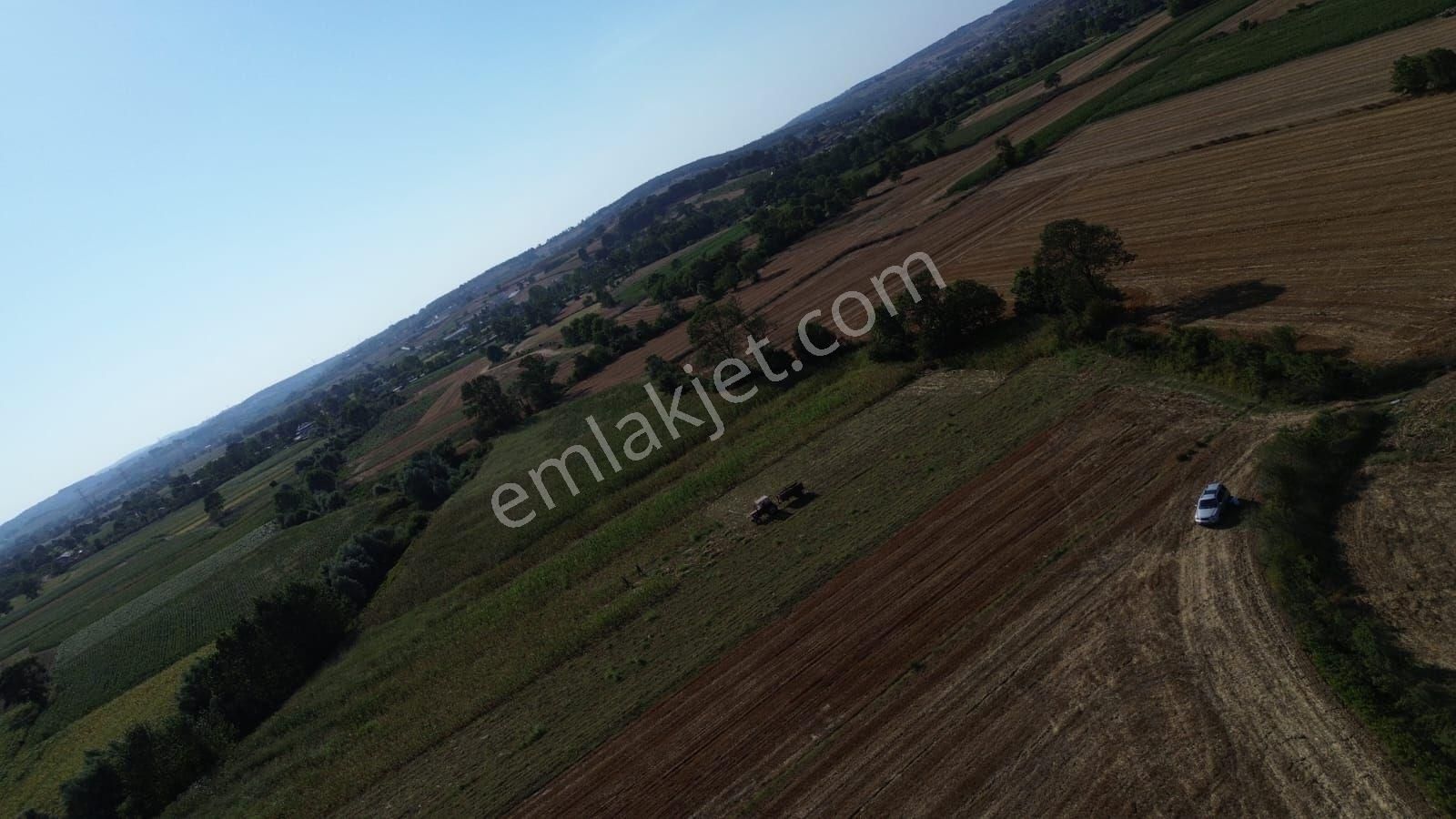 Arazi Uzmanı Recep Davutoğlu'ndan Yatırımlık Tarla - Görsel 4