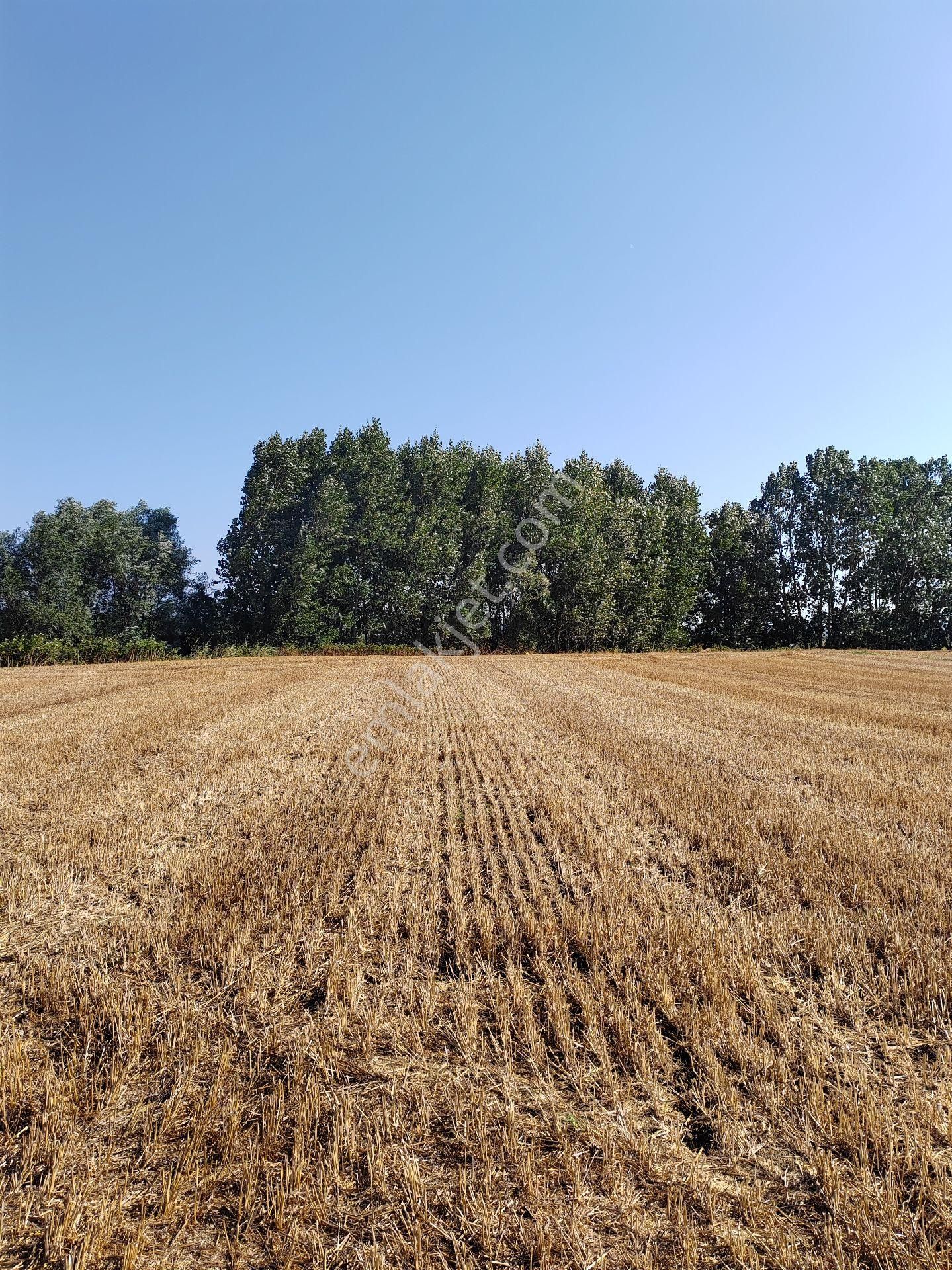 Arazi Uzmanı Recep Davutoğlu'ndan Yatırımlık Tarla - Görsel 9