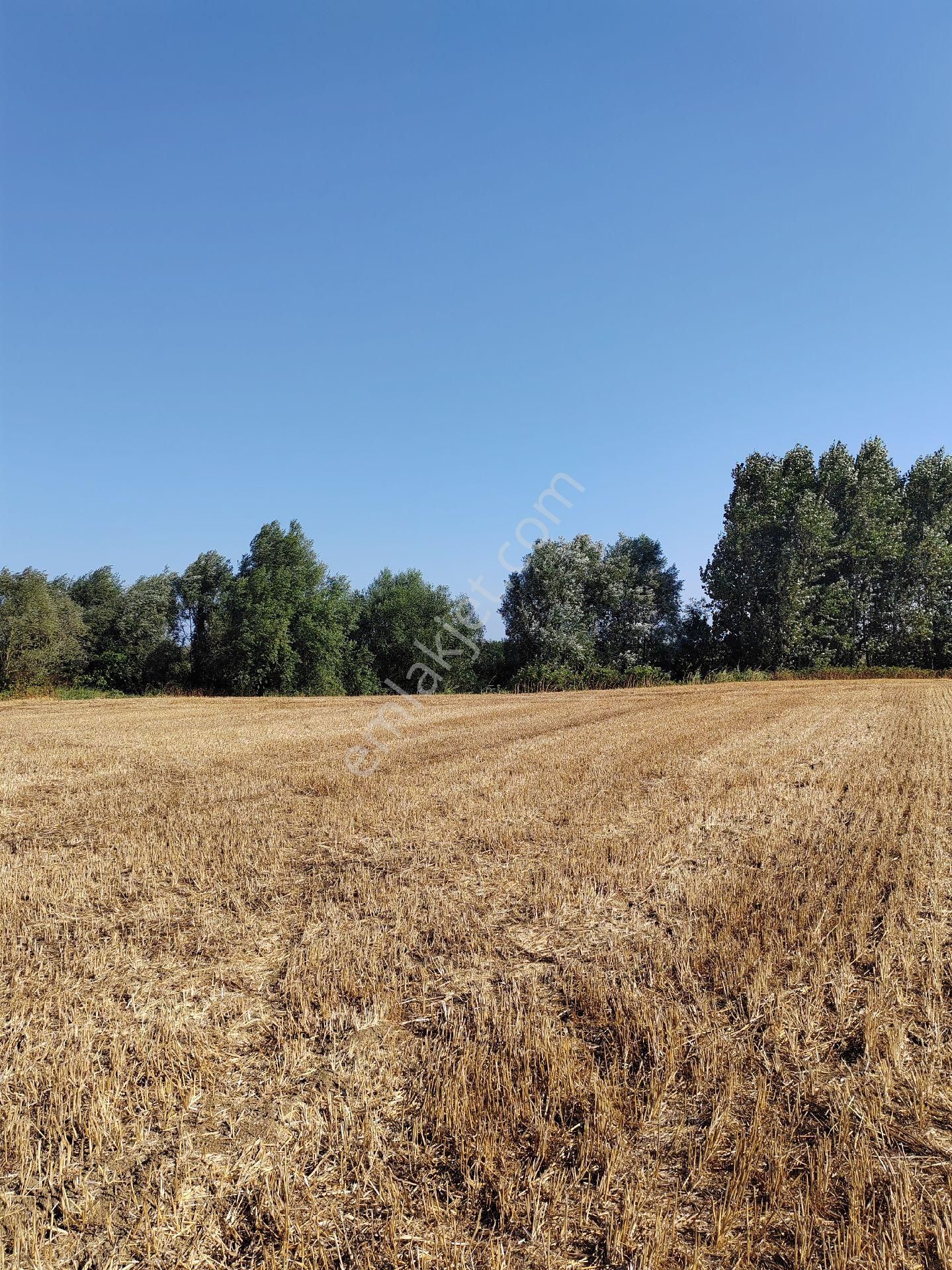 Arazi Uzmanı Recep Davutoğlu'ndan Yatırımlık Tarla - Görsel 10
