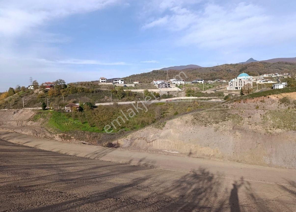 Beldibinde 602 M² Fındık Ağaçlı Manzaralı Yatırımlık Bahçe - Görsel 14