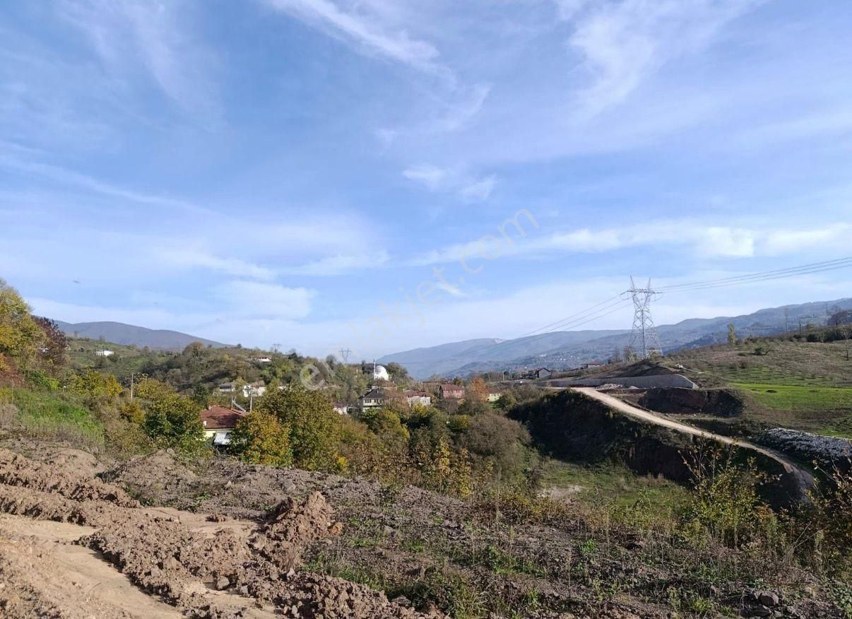 Beldibinde 602 M² Fındık Ağaçlı Manzaralı Yatırımlık Bahçe - Görsel 7