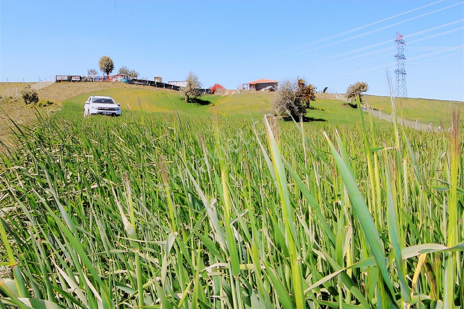 Han'dan İmara 500 Metre Mesafede Telli Yola Cephe 5628 M2 Tarla - Görsel 29