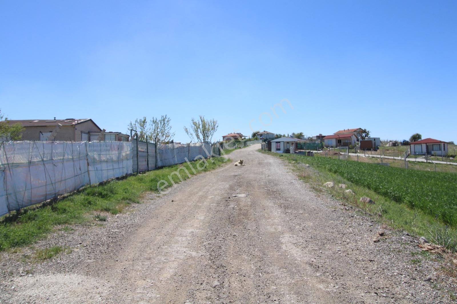 Han'dan İmara 500 Metre Mesafede Telli Yola Cephe 5628 M2 Tarla - Görsel 8