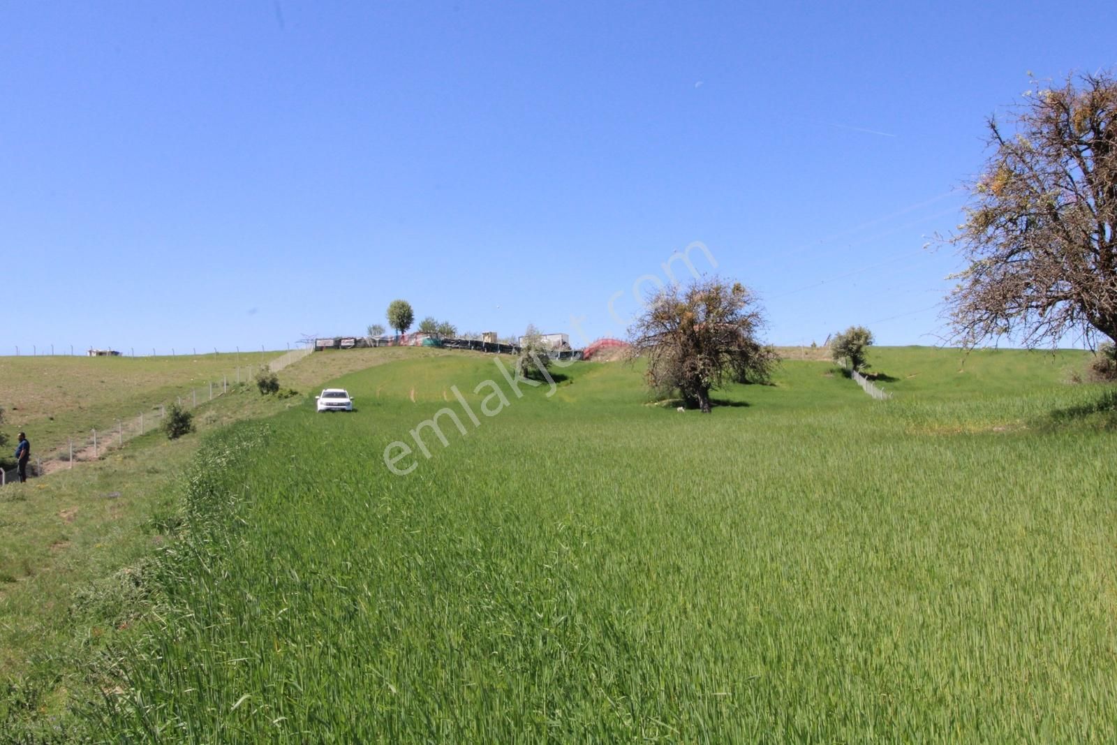 Han'dan İmara 500 Metre Mesafede Telli Yola Cephe 5628 M2 Tarla - Görsel 10