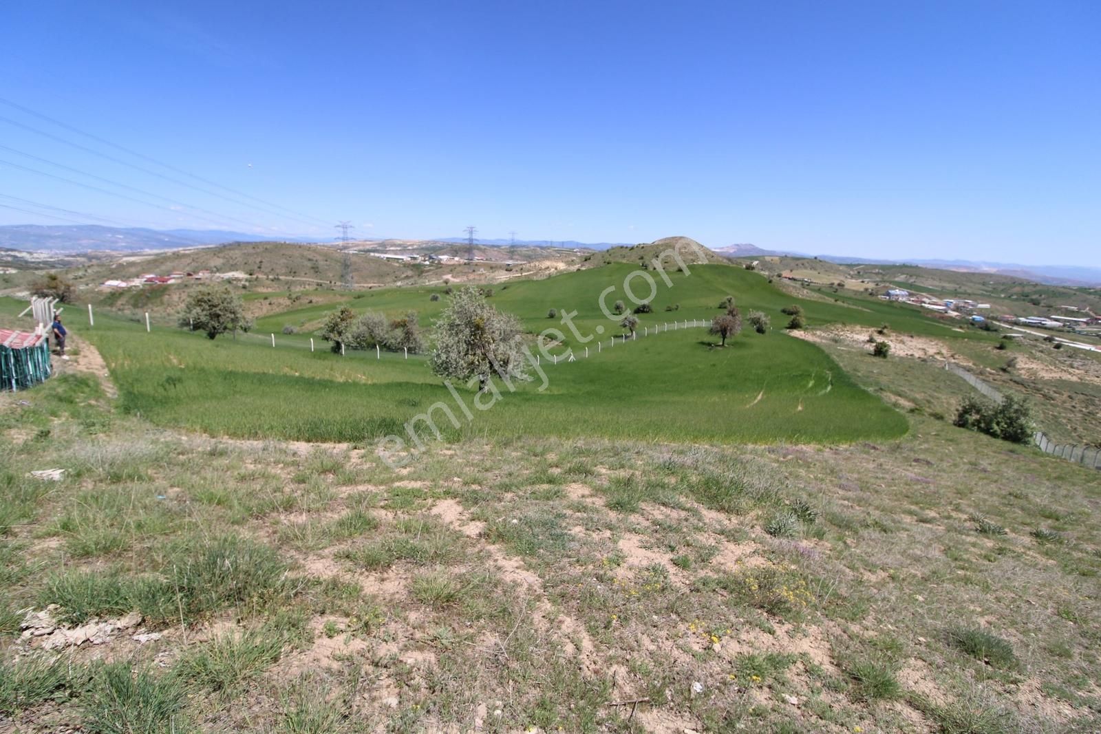 Han'dan İmara 500 Metre Mesafede Telli Yola Cephe 5628 M2 Tarla - Görsel 24