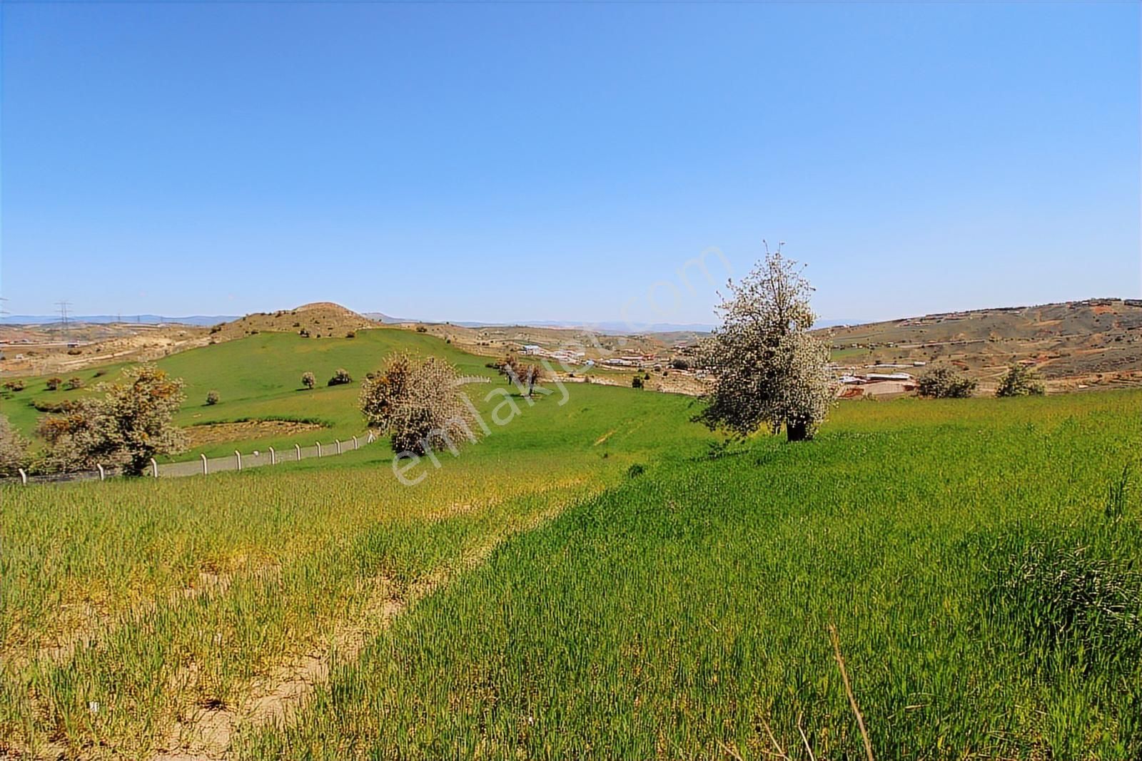 Han'dan İmara 500 Metre Mesafede Telli Yola Cephe 5628 M2 Tarla - Görsel 21