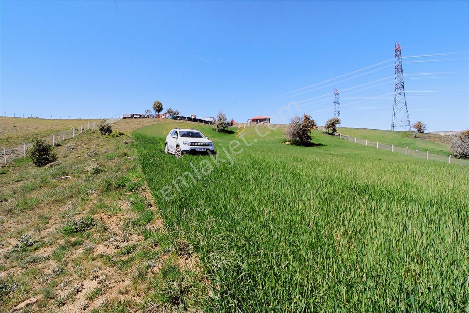 Han'dan İmara 500 Metre Mesafede Telli Yola Cephe 5628 M2 Tarla - Görsel 6