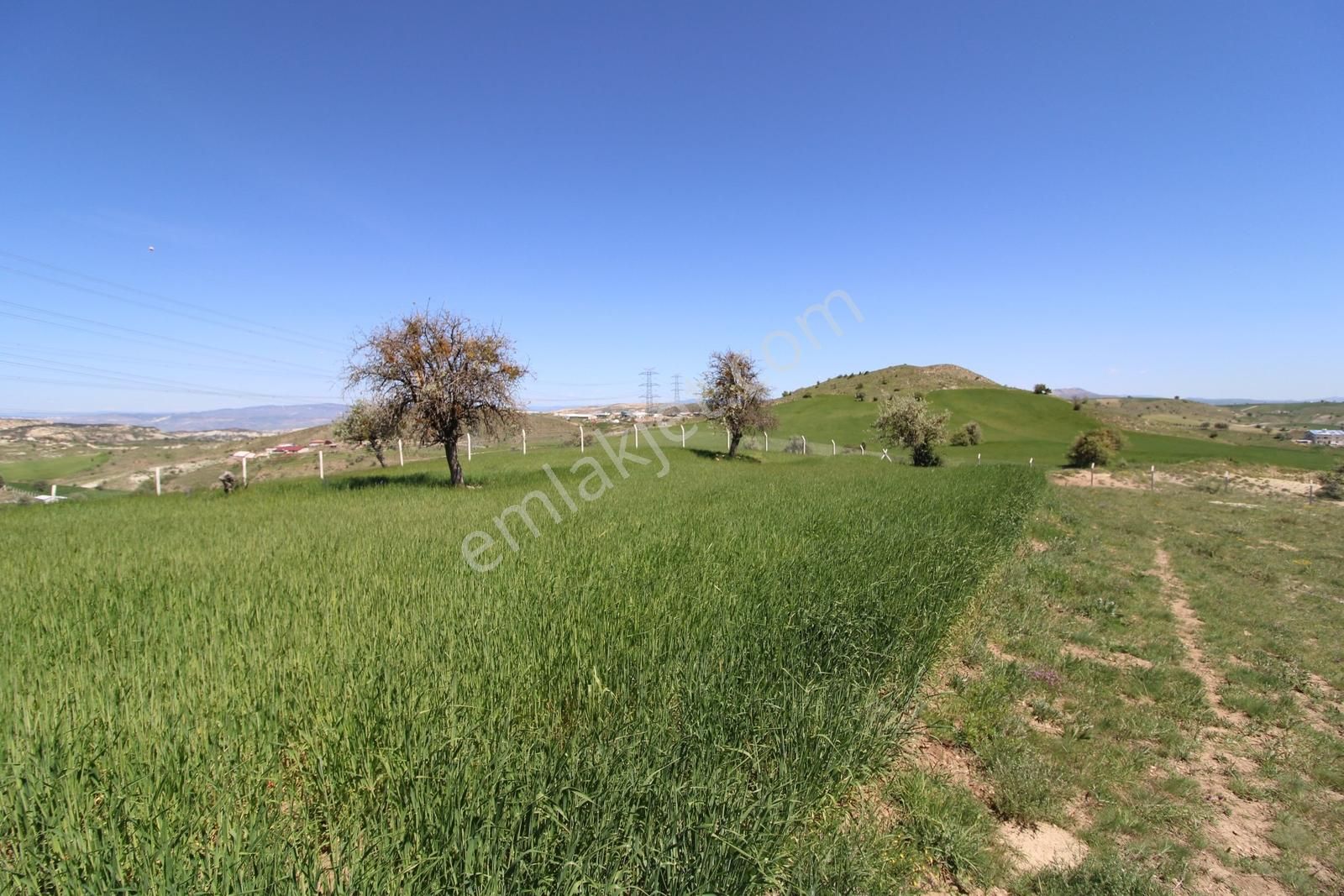 Han'dan İmara 500 Metre Mesafede Telli Yola Cephe 5628 M2 Tarla - Görsel 5