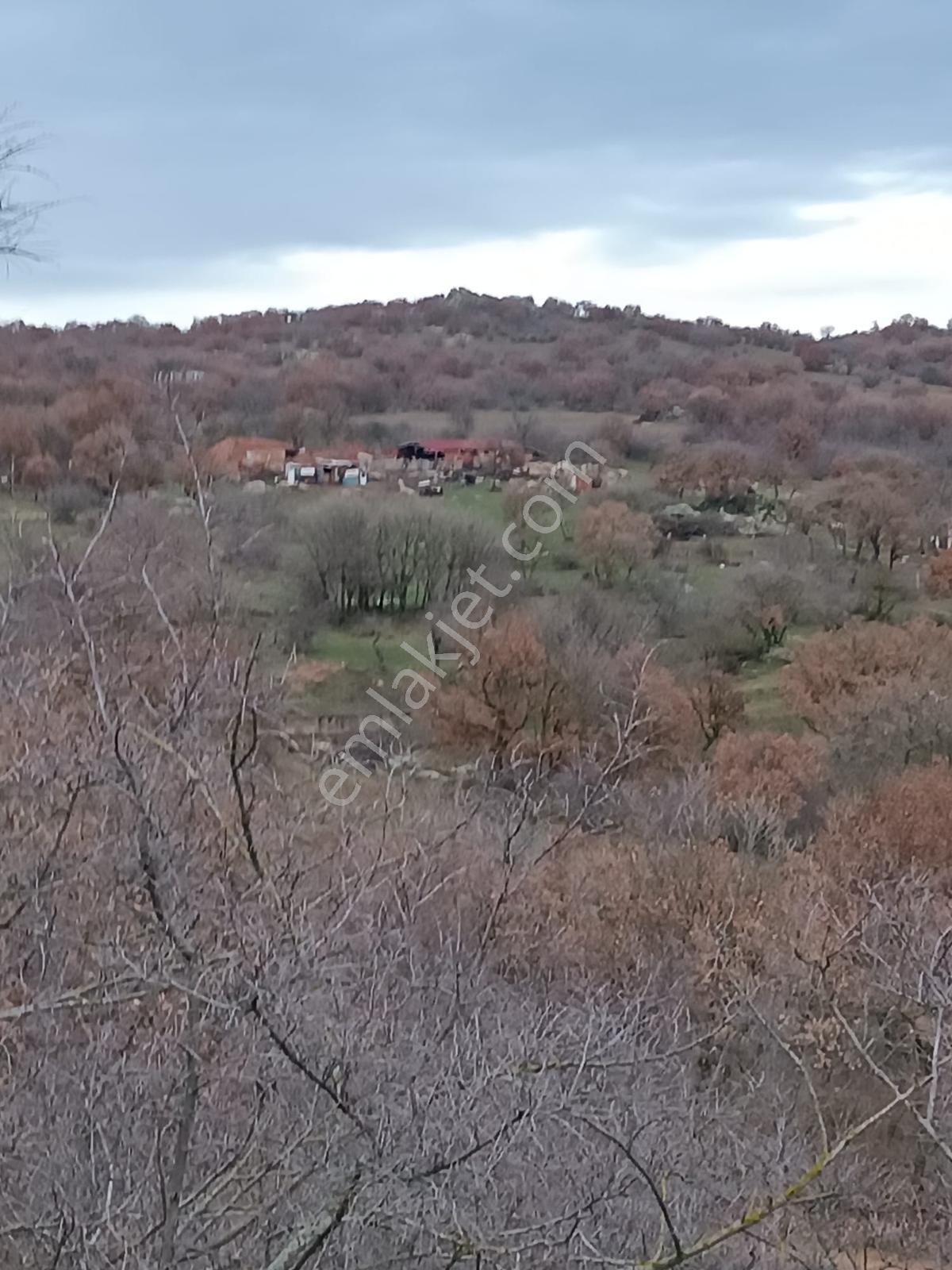 Newcıty Emlaktan Demircihalilde Satılık Tarla 4.200 M2 - Görsel 4