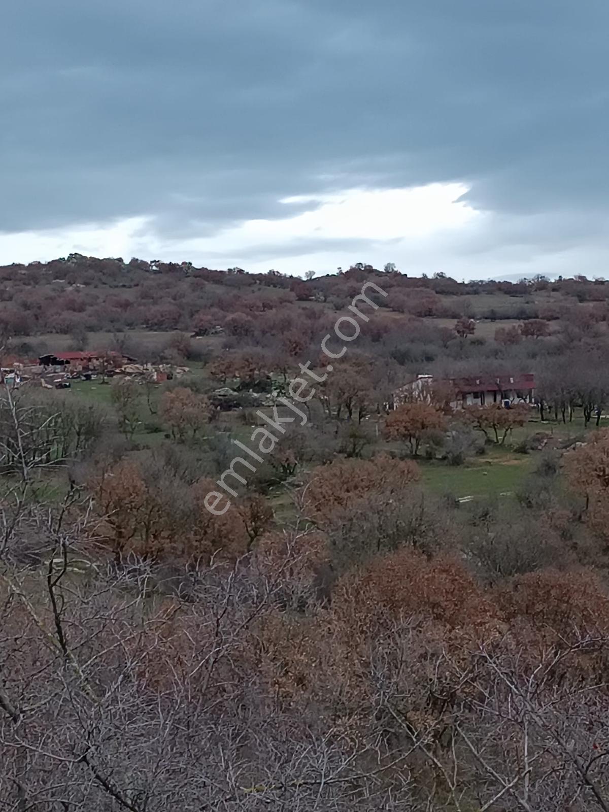 Newcıty Emlaktan Demircihalilde Satılık Tarla 4.200 M2 - Görsel 2