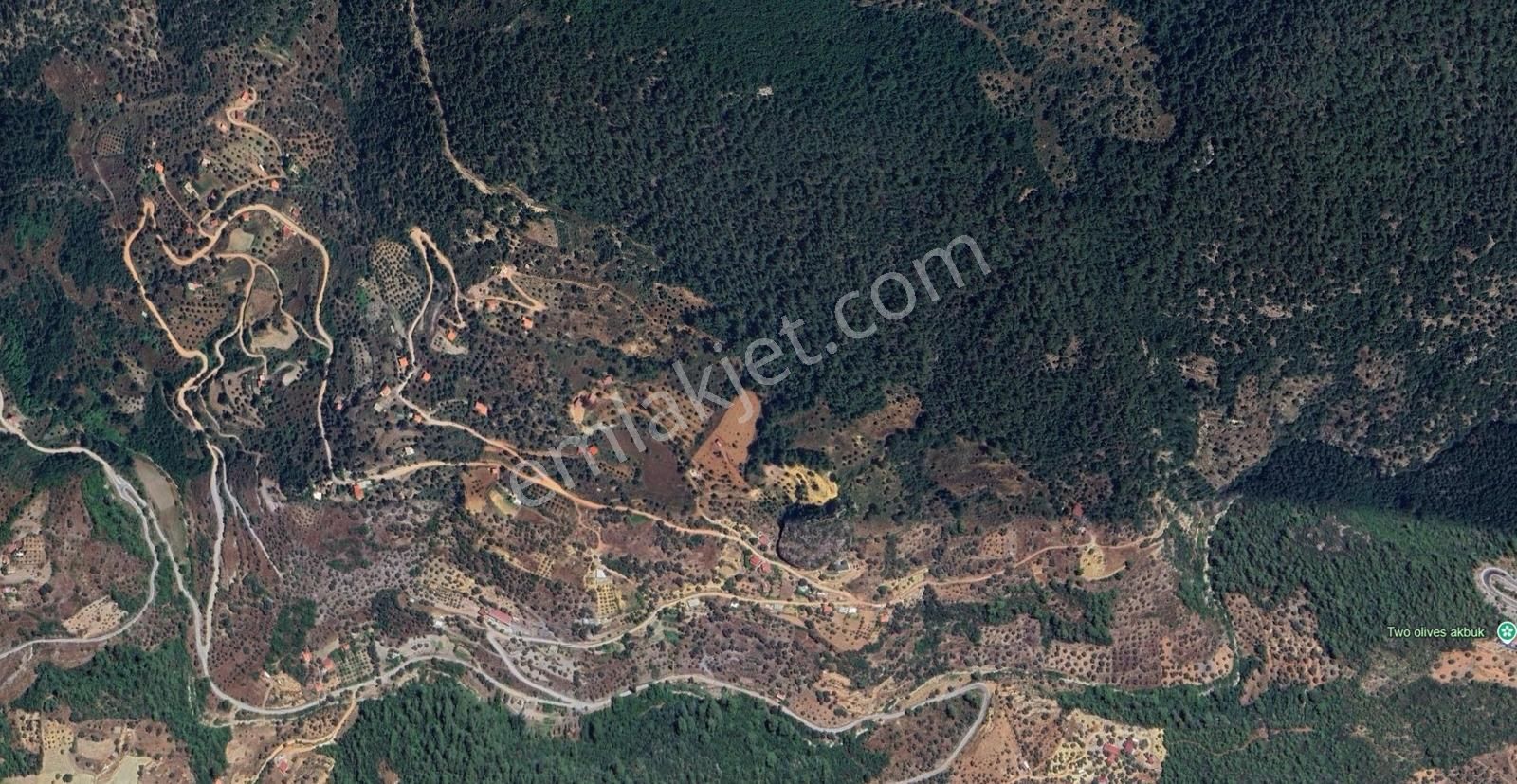 Muğla Zeytinköy'de 2.178 M2 Satılık Tarla - Görsel 5