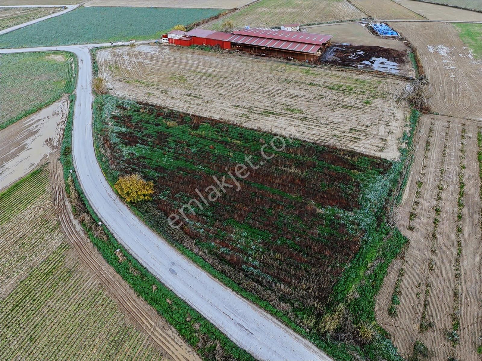 Mahmutlar Mahallesinde Yola Sıfır Muazzam Arazi - Görsel 2