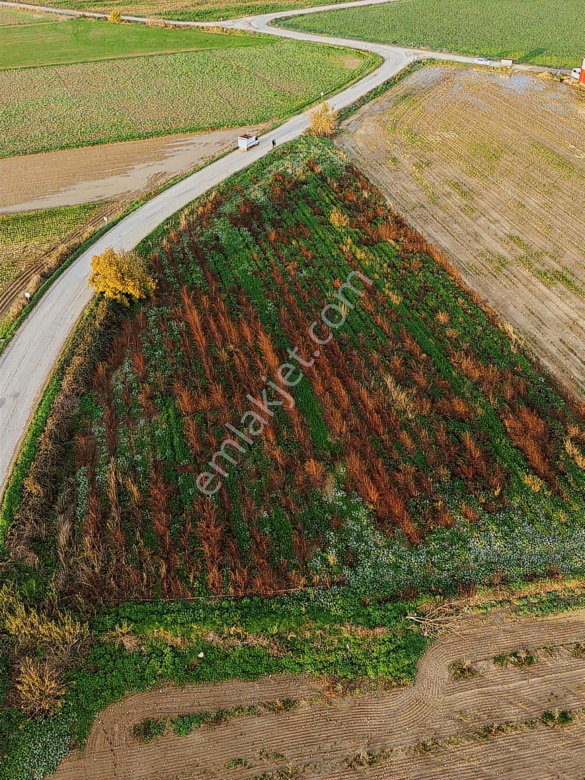 Mahmutlar Mahallesinde Yola Sıfır Muazzam Arazi - Görsel 3