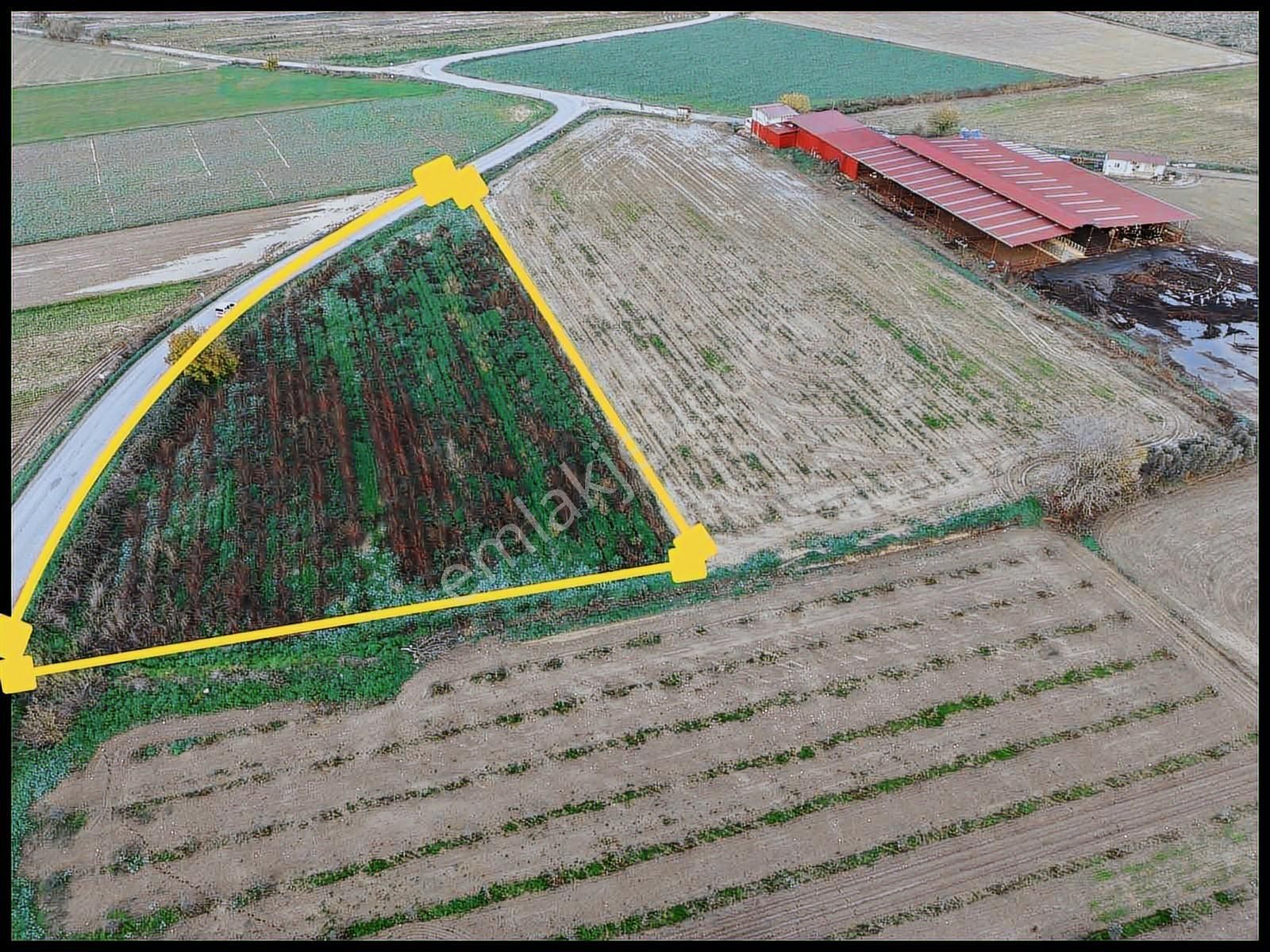 Mahmutlar Mahallesinde Yola Sıfır Muazzam Arazi