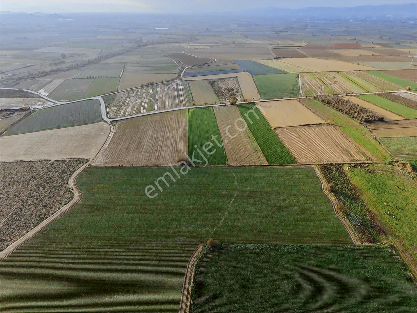 Mahmutlar Mahallesinde Elektrik Ve Suyu Olan Arsamız - Görsel 9