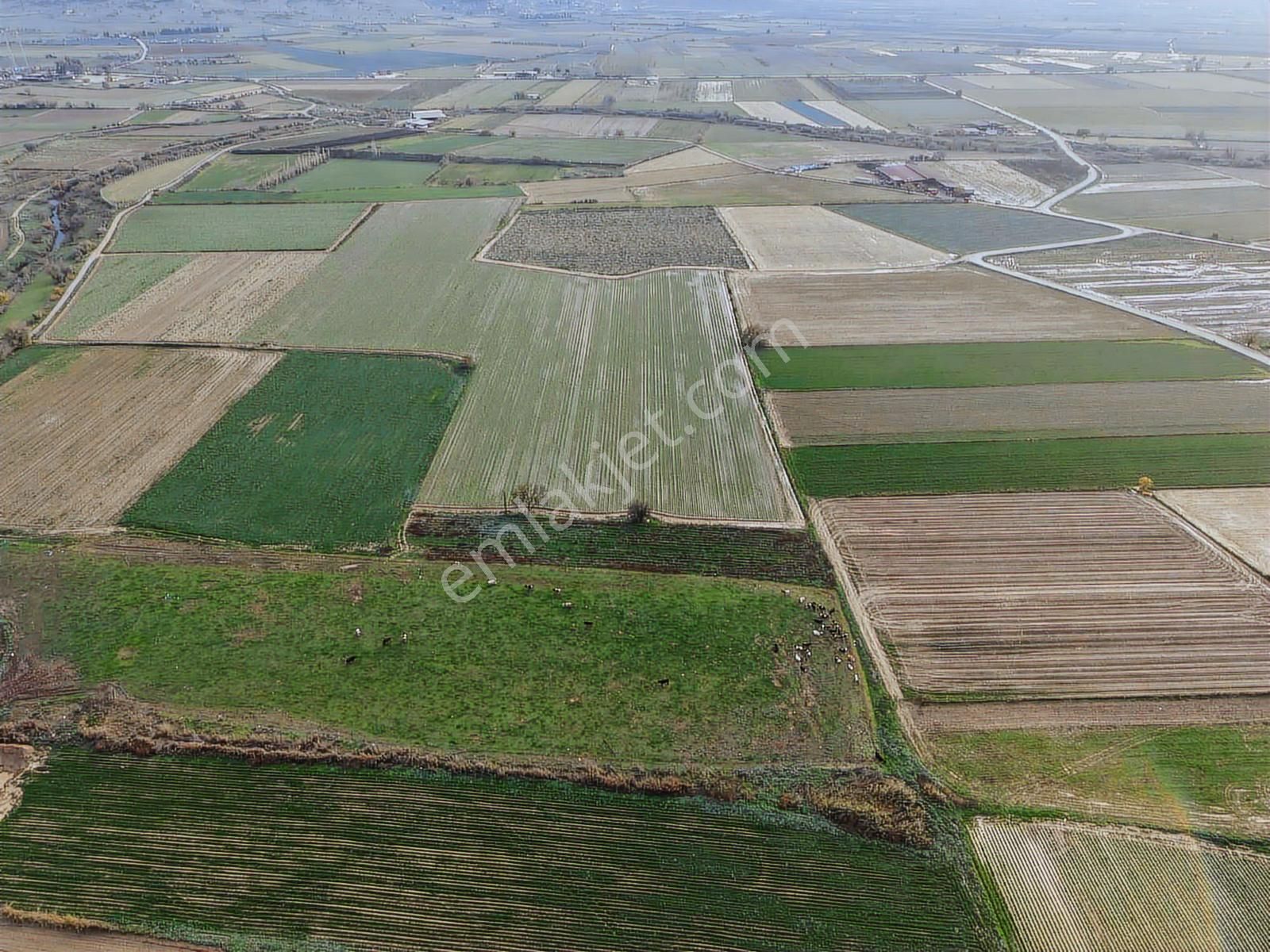 Mahmutlar Mahallesinde Elektrik Ve Suyu Olan Arsamız - Görsel 6