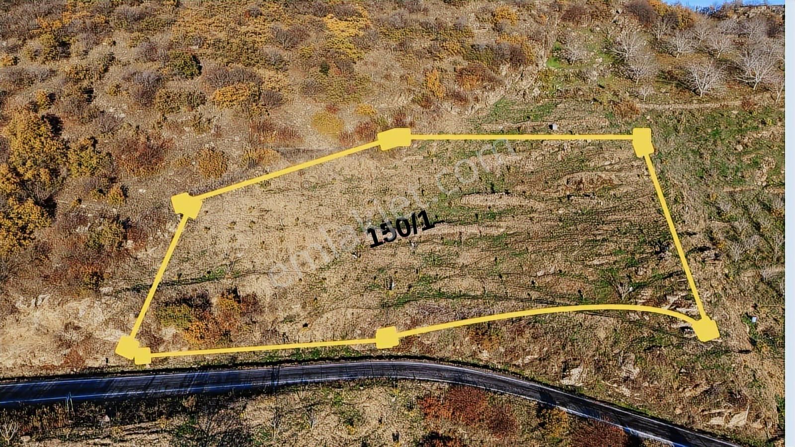 Derin Emlaktan Dağdere Mahallesinde Satılık İncir Bahçesi