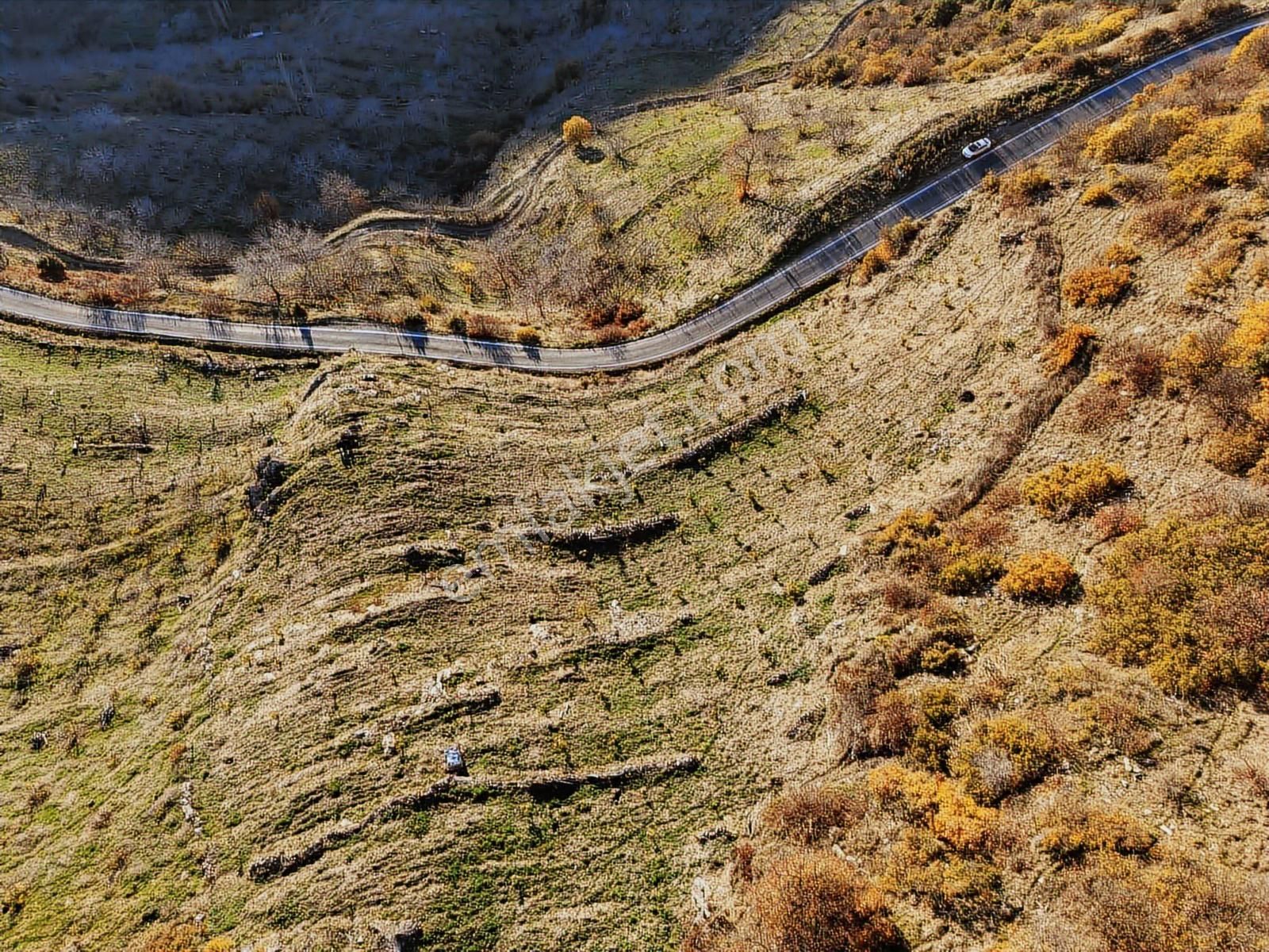 Derin Emlaktan Dağdere Mahallesinde Satılık İncir Bahçesi - Görsel 9