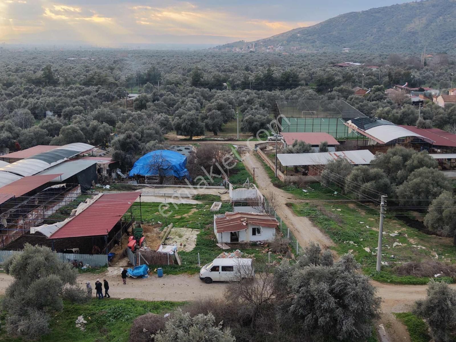 Derin Emlaktan Zeytinovada Satılık Arsa - Görsel 2