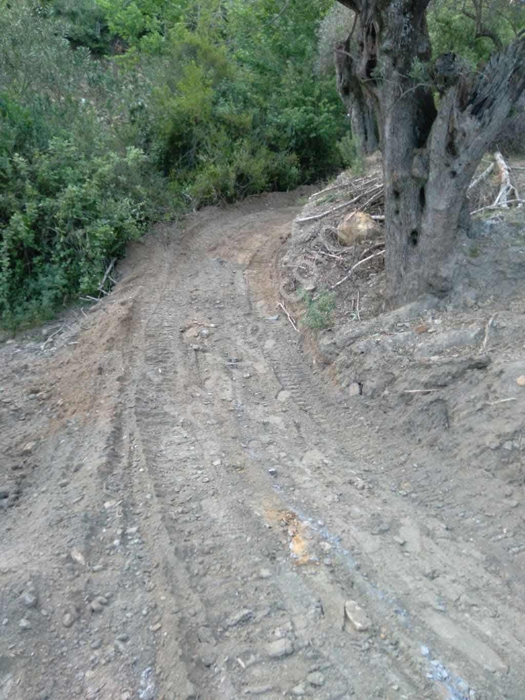Derin Emlaktan Eşşiz Manzarasıyla Doğanın İçinde Satılık Arsamız - Görsel 3