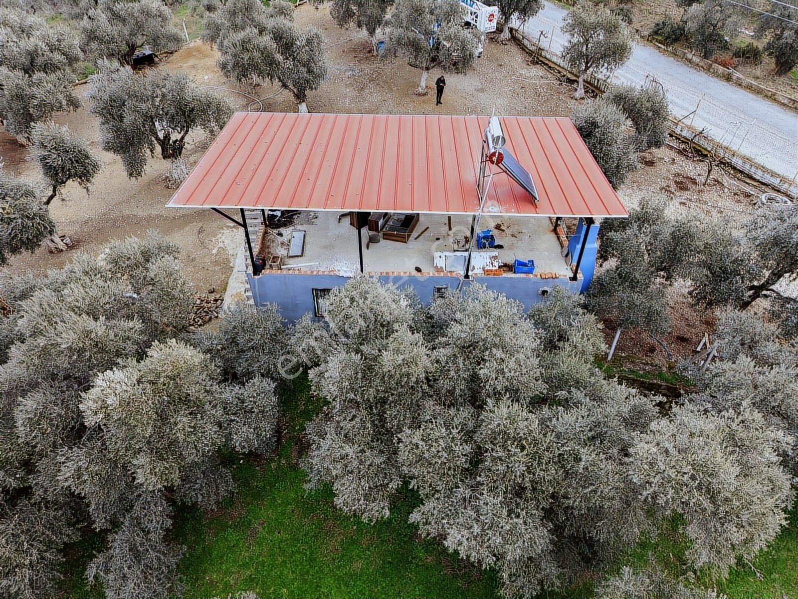 Kaçmazerden Elektrik, Su Ve Ev Ruhsatlı Satılık Hobi Bahçesi - Görsel 15