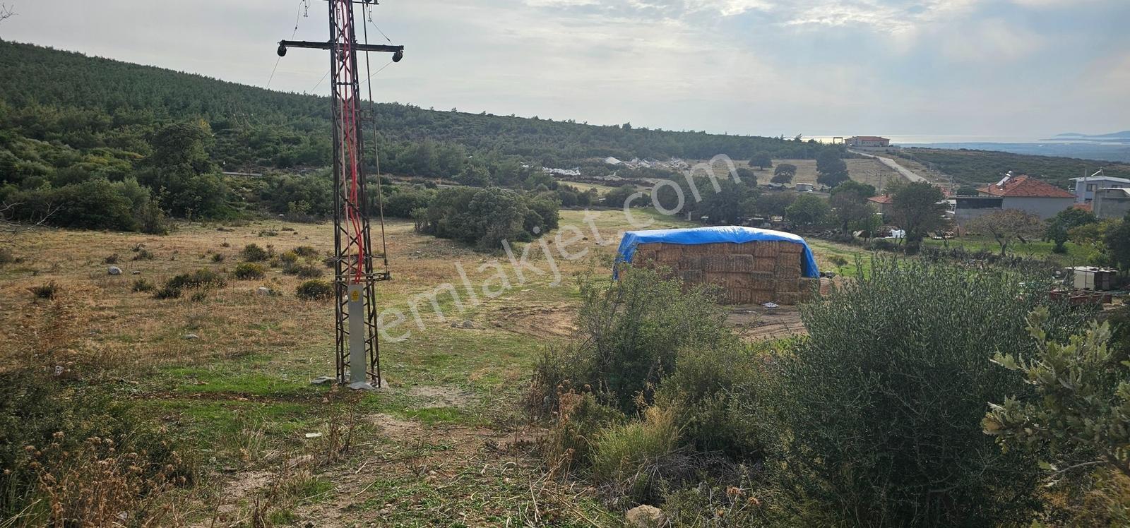 Zeytindağ'da Yatırım Fırsatı ( 8511 M2 İmarlı ) - Görsel 4