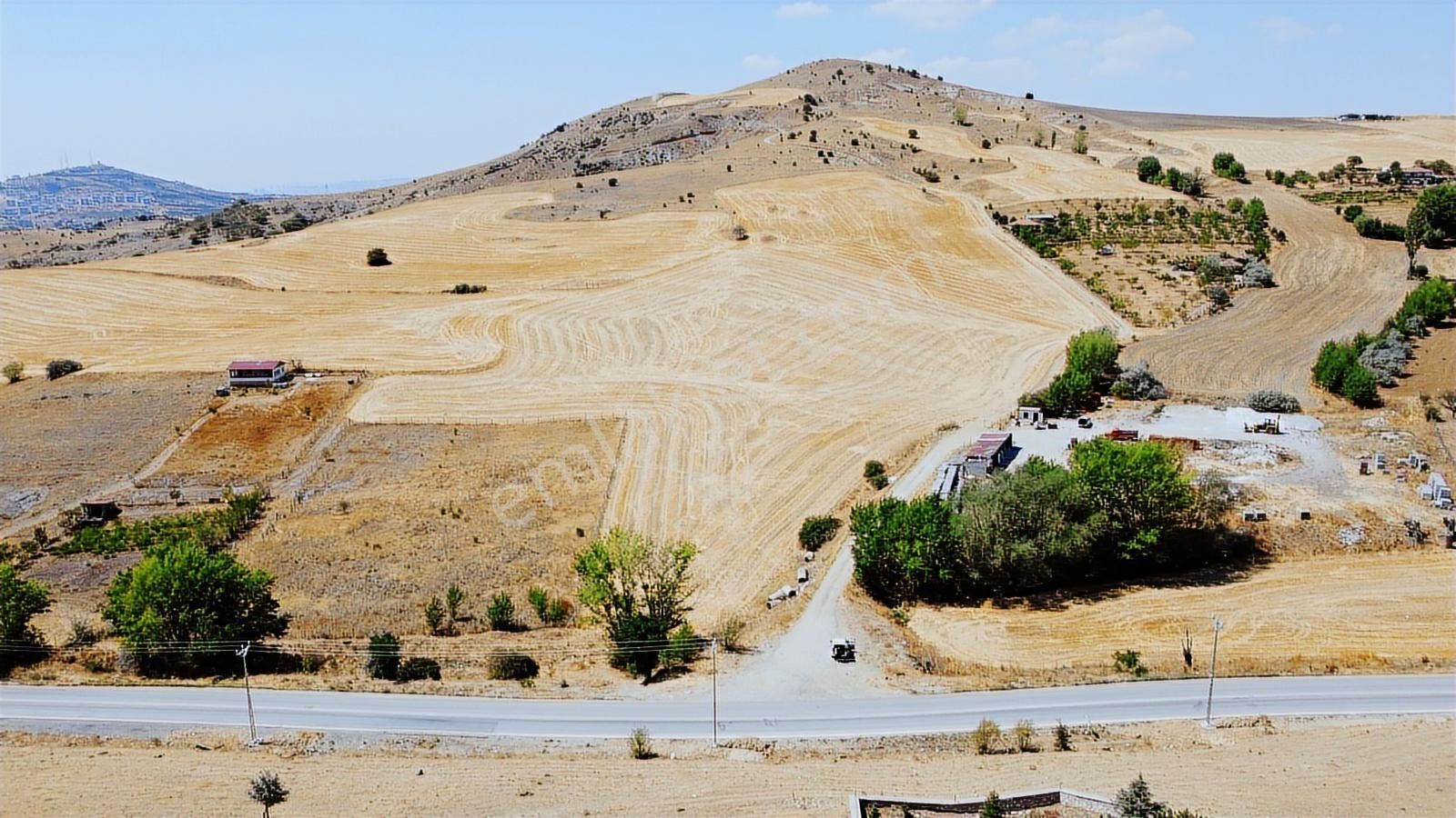 **tatlar Da Asfalt Üstü Hisseli Tapu Tel Örgülü Bulunmaz Fırsat* - Görsel 19