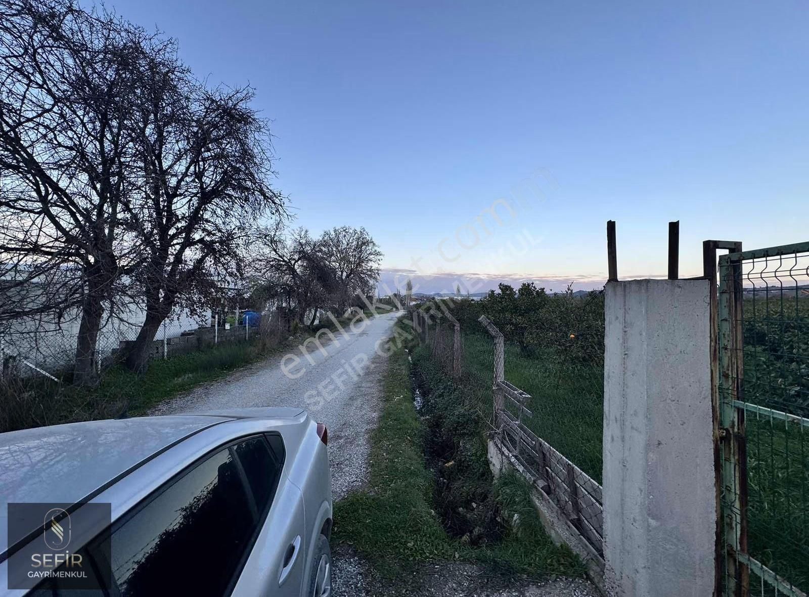 İmara Yakın 10 Dönüm Elektrik Suyu Olan Mandalina Bahçesi - Görsel 14