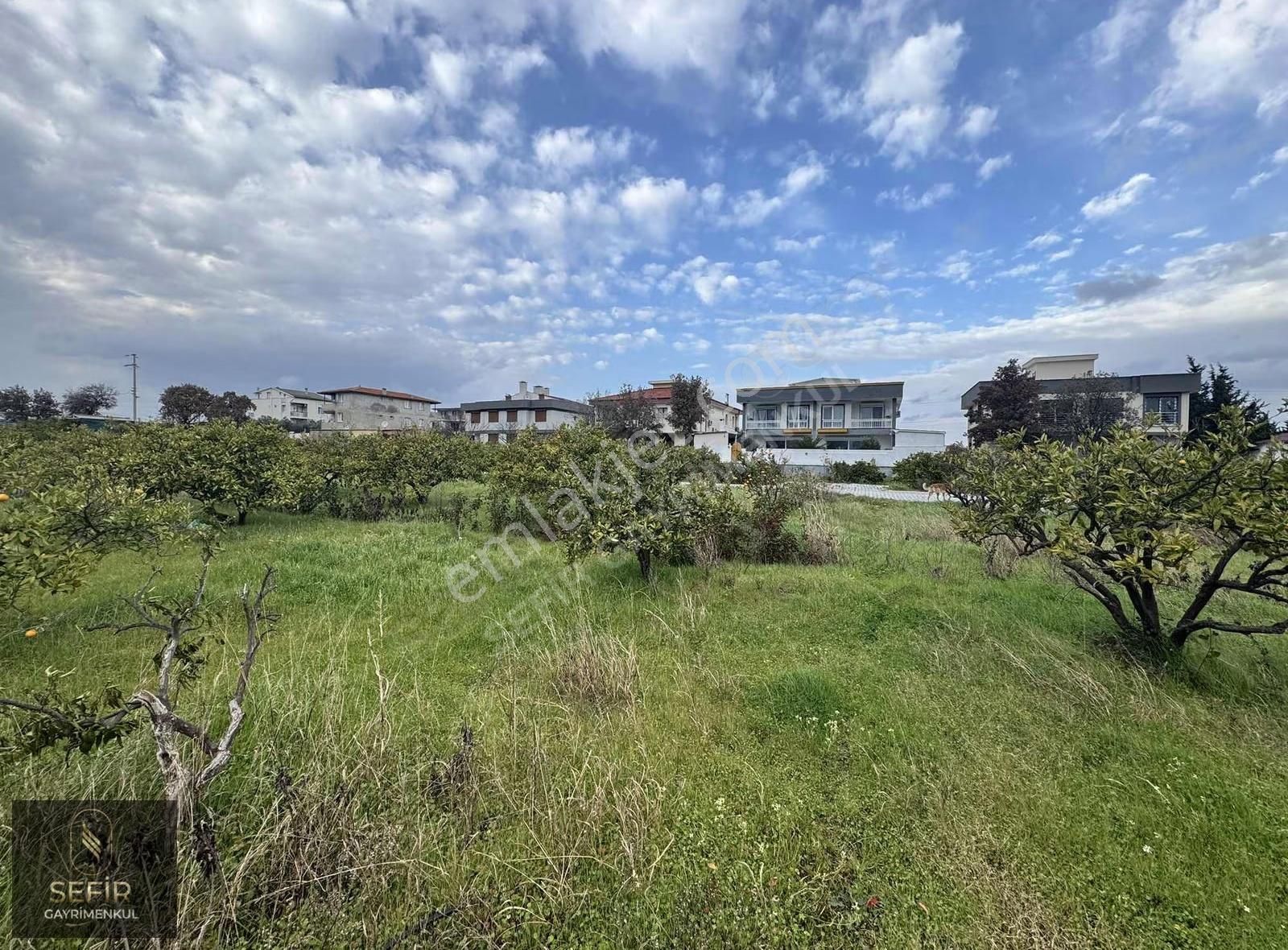 Yerleşim Alanı İçerisinde 290 M2 Hobi Bahçesi - Görsel 7