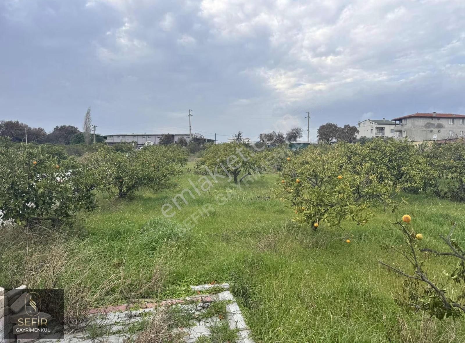 Yerleşim Alanı İçerisinde 290 M2 Hobi Bahçesi - Görsel 10