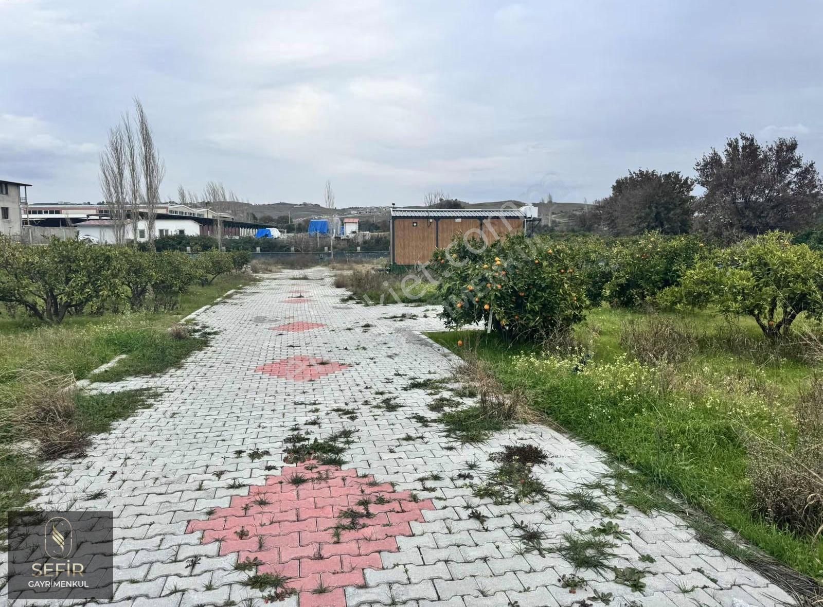 Yerleşim Alanı İçerisinde 290 M2 Hobi Bahçesi - Görsel 5