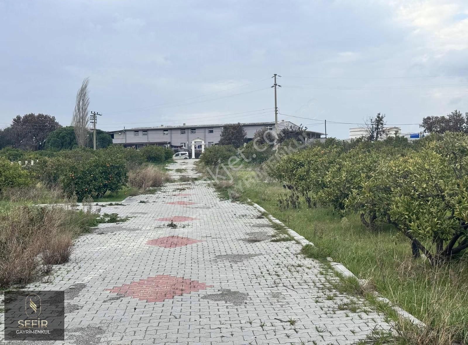 Yerleşim Alanı İçerisinde 290 M2 Hobi Bahçesi - Görsel 4
