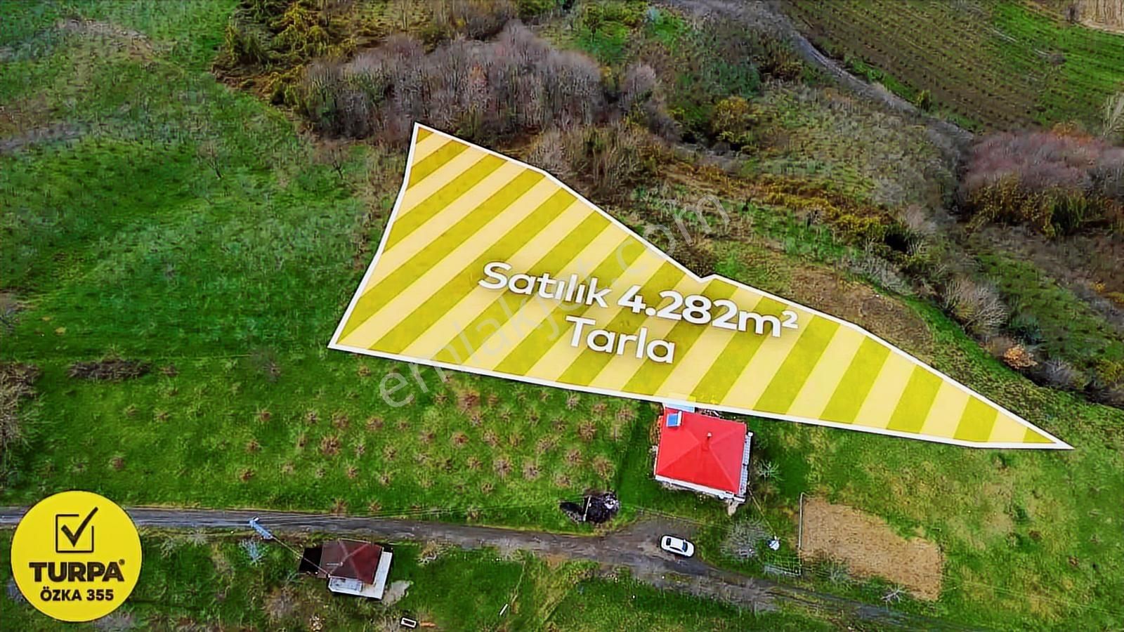 Turpa Özka 355'den Satılık Arsa (tarla) 4282 M2 - Görsel 3