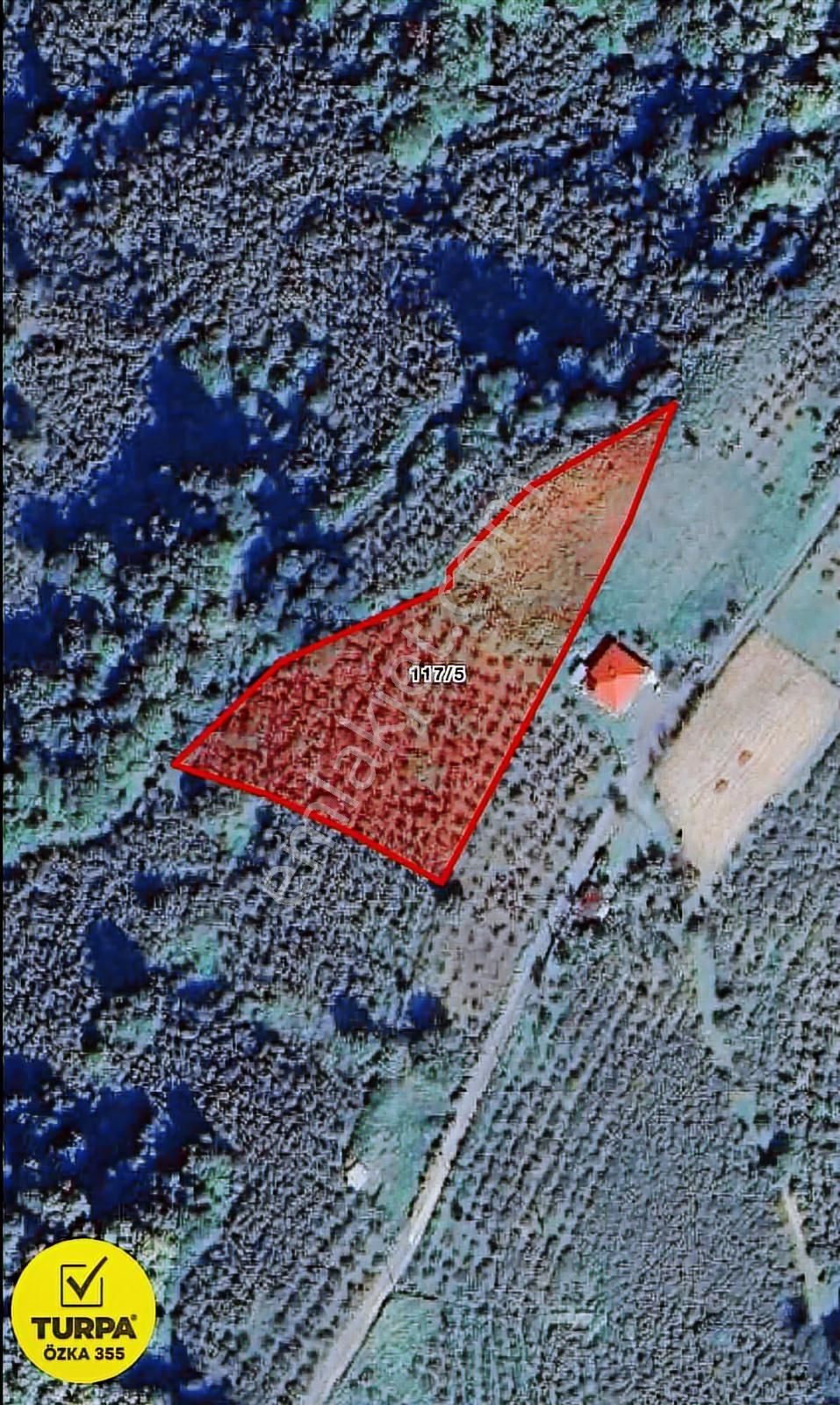 Turpa Özka 355'den Satılık Arsa (tarla) 4282 M2 - Görsel 4