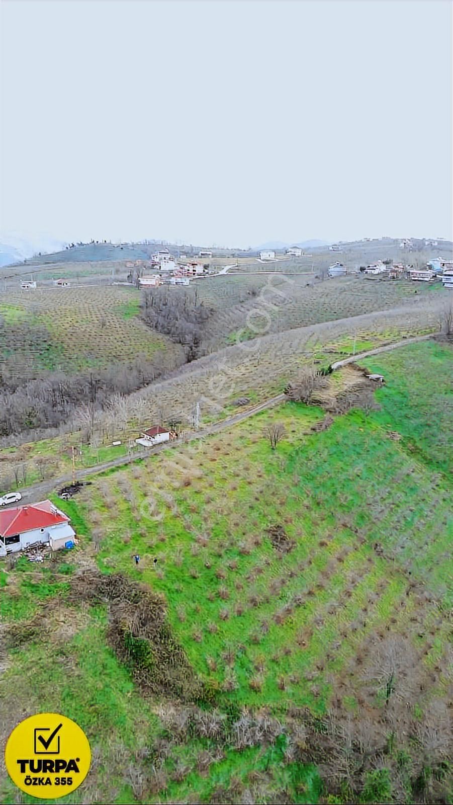 Turpa Özka 355'den Satılık Arsa (tarla) 4282 M2 - Görsel 6