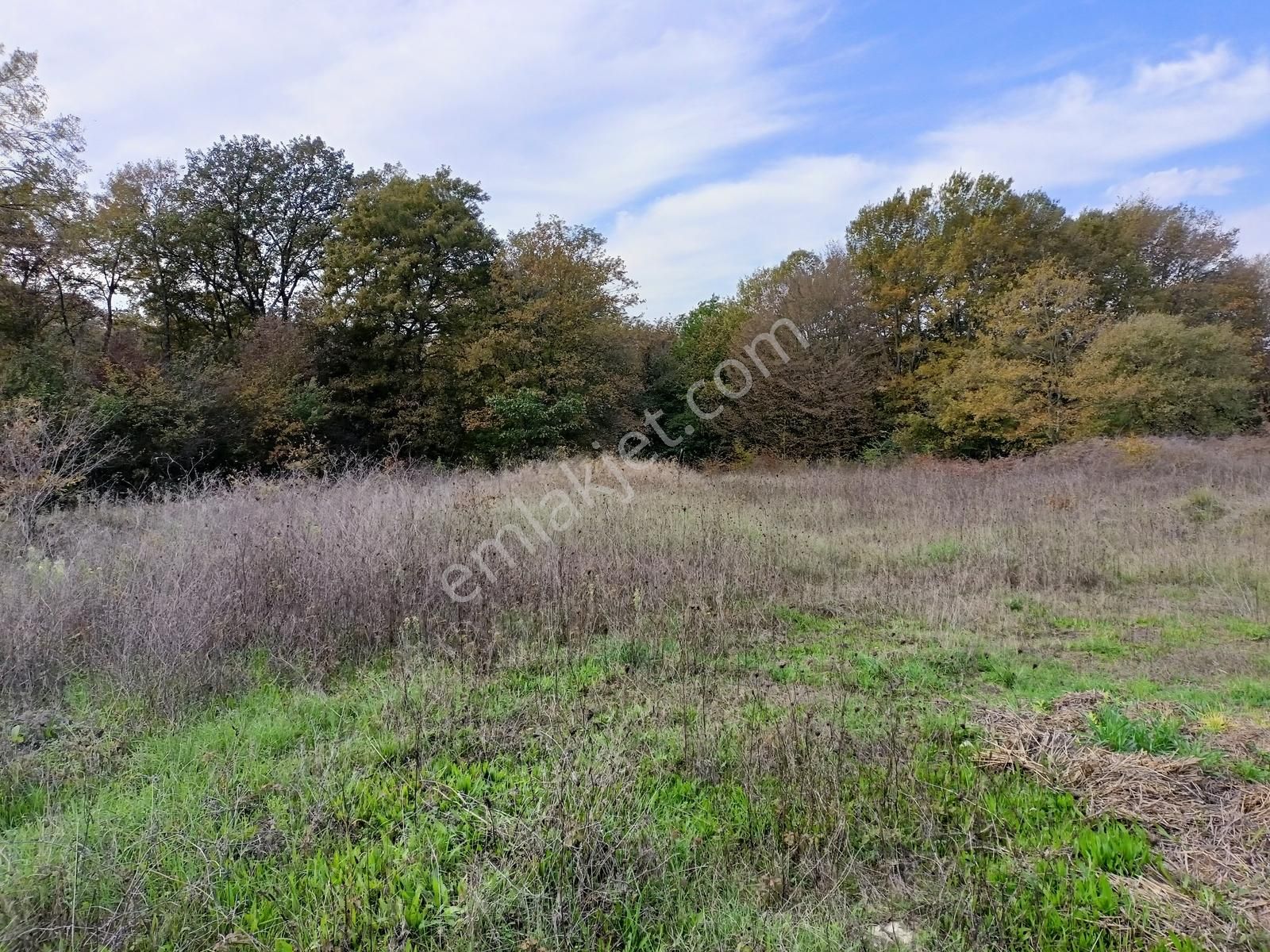 Konumu Güzel Kaynarca Merkeze 6 Km Sahile 15 Km Tarla - Görsel 12