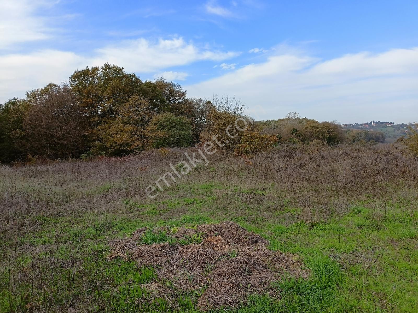 Konumu Güzel Kaynarca Merkeze 6 Km Sahile 15 Km Tarla - Görsel 9