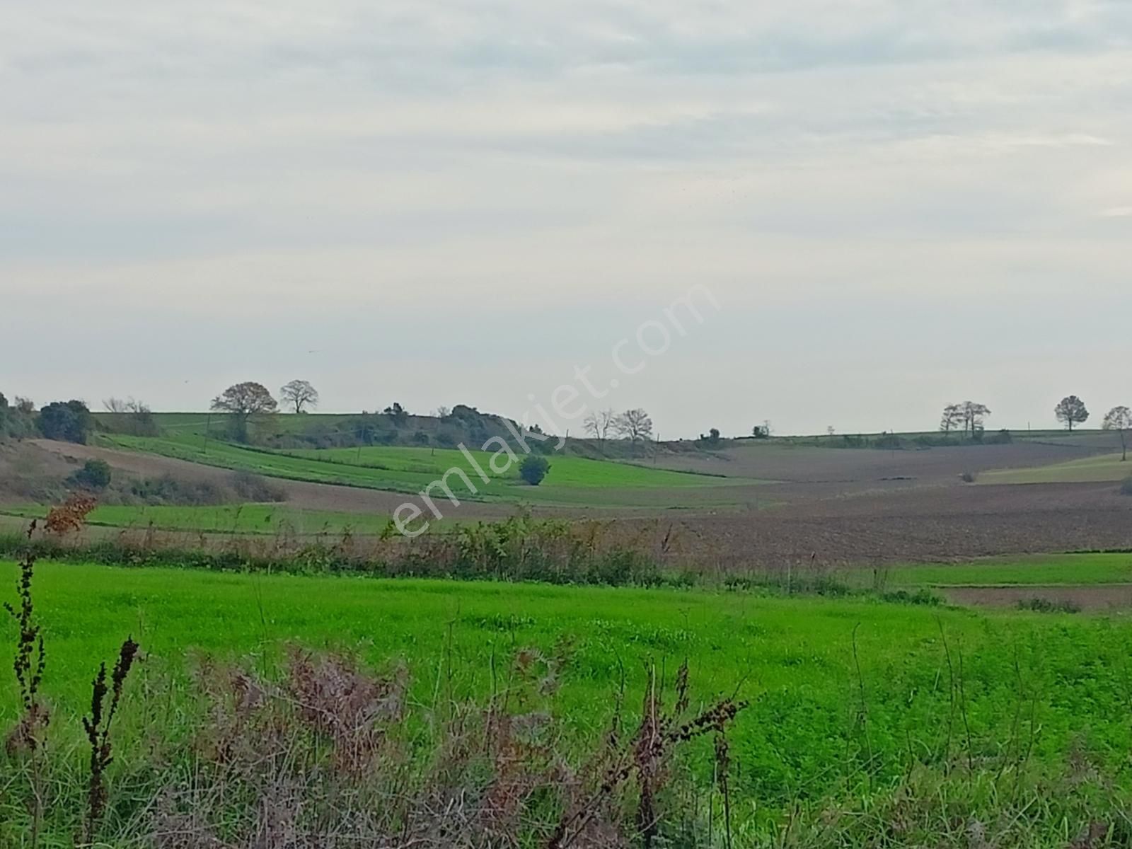 Konumu Güzel Kaynarca Merkeze 6 Km Sahile 15 Km Tarla - Görsel 2