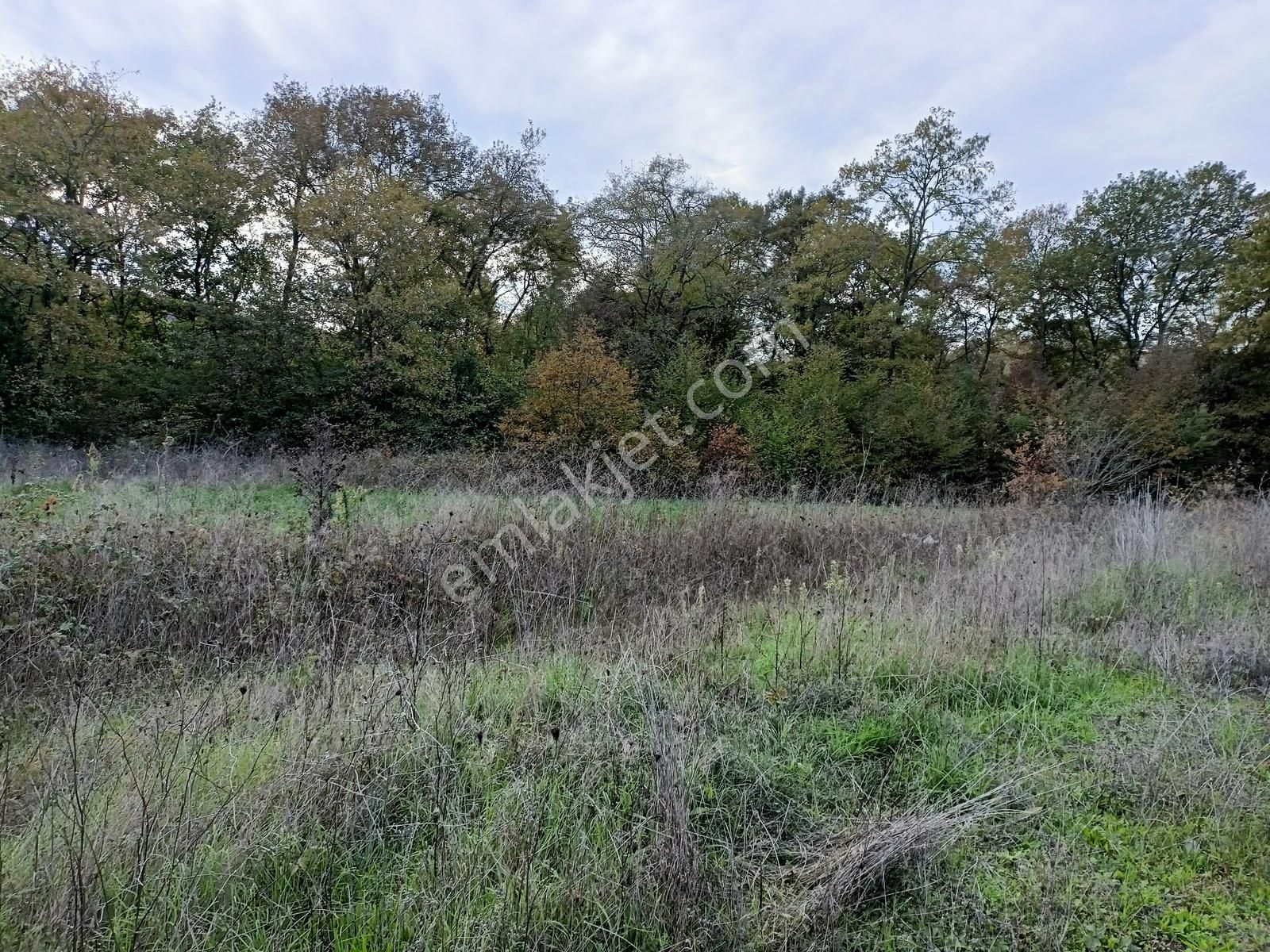 Konumu Güzel Kaynarca Merkeze 6 Km Sahile 15 Km Tarla - Görsel 6