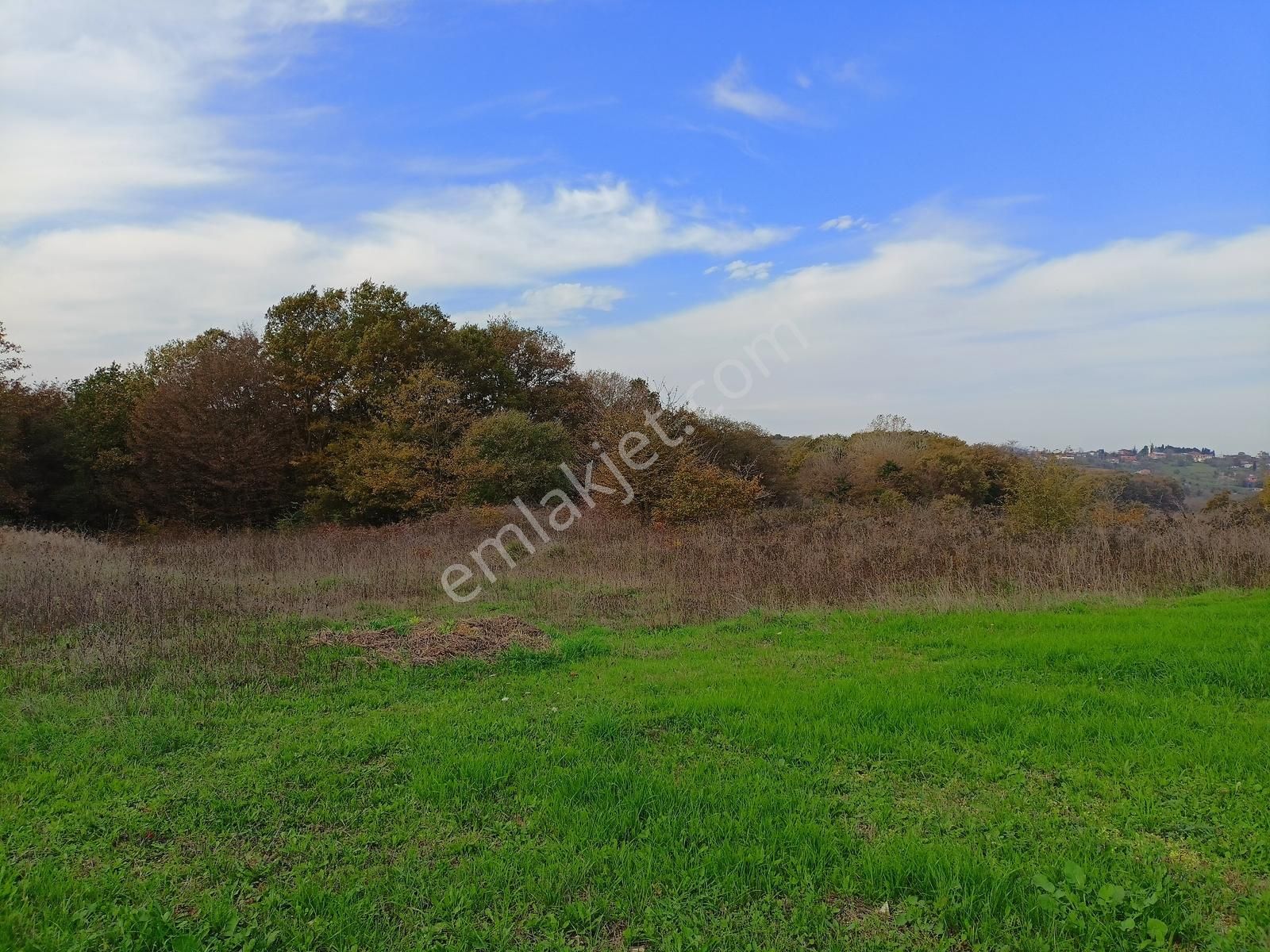 Konumu Güzel Kaynarca Merkeze 6 Km Sahile 15 Km Tarla - Görsel 7