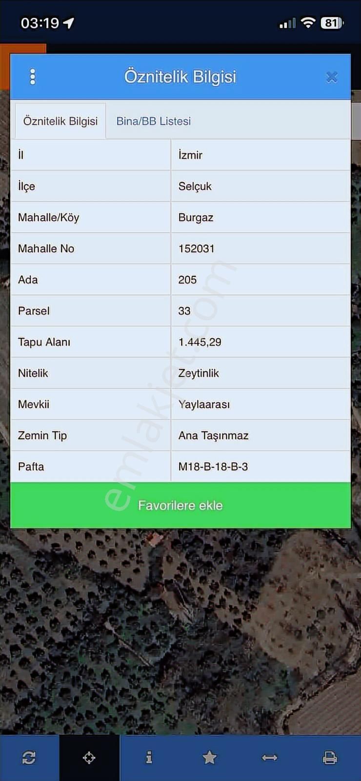 Çınar'da Köy Merkezine Yakın Satılık Zeytinlik - Görsel 2