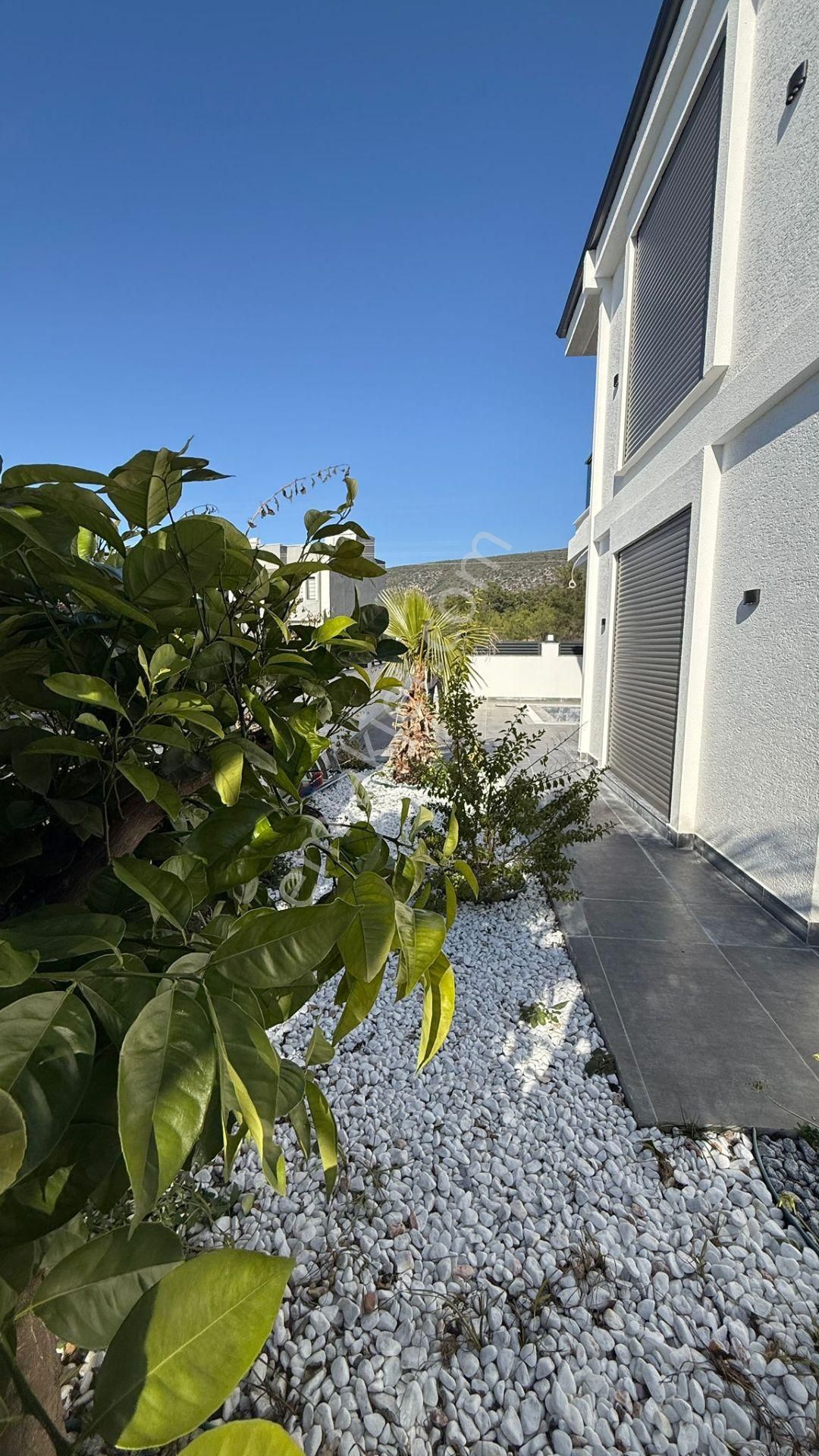 Didim Akbükte Özel Havuzlu 3+1 Müstakil Villa - Görsel 8